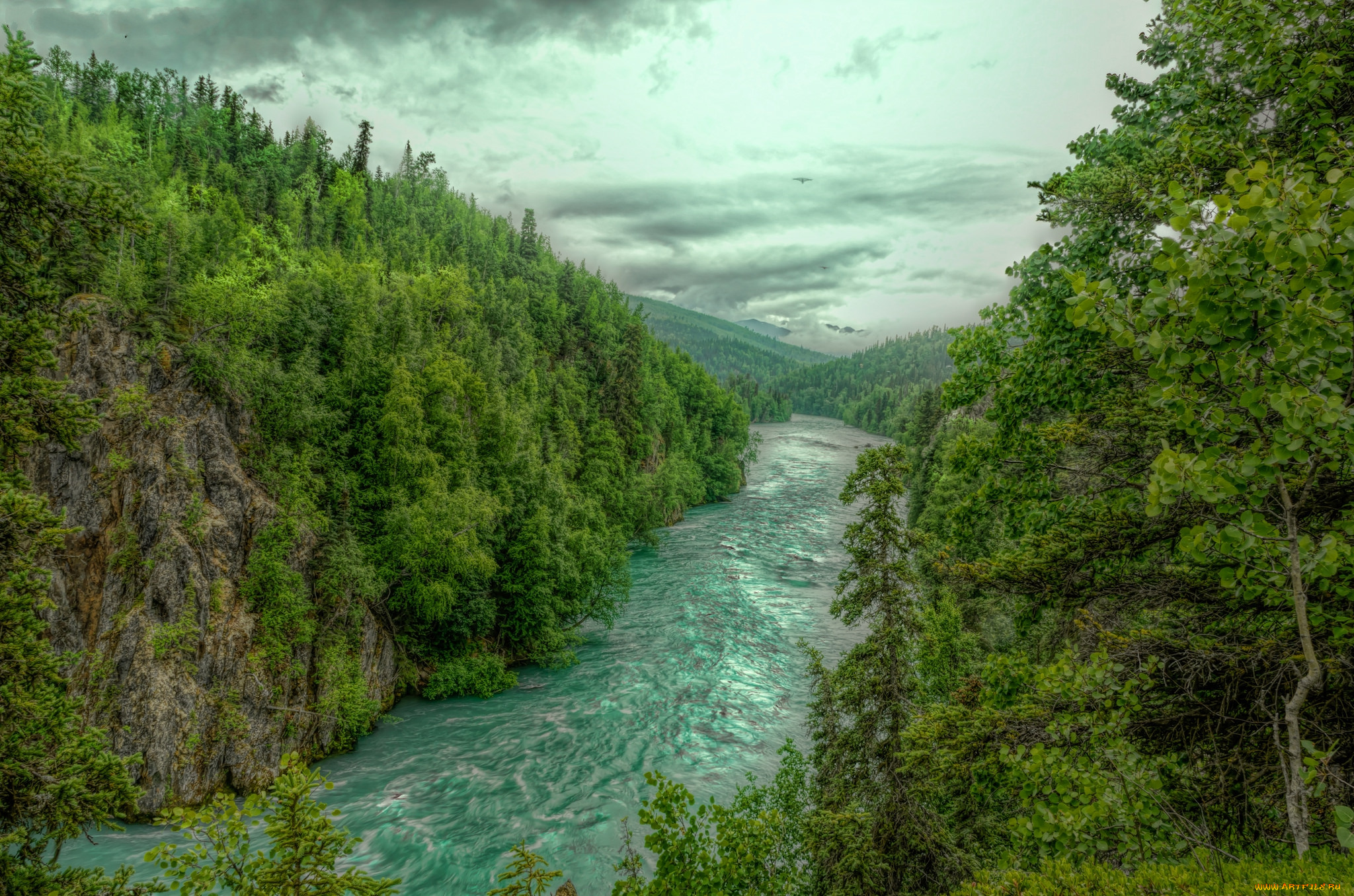 природа, реки, озера, река, лес, горы