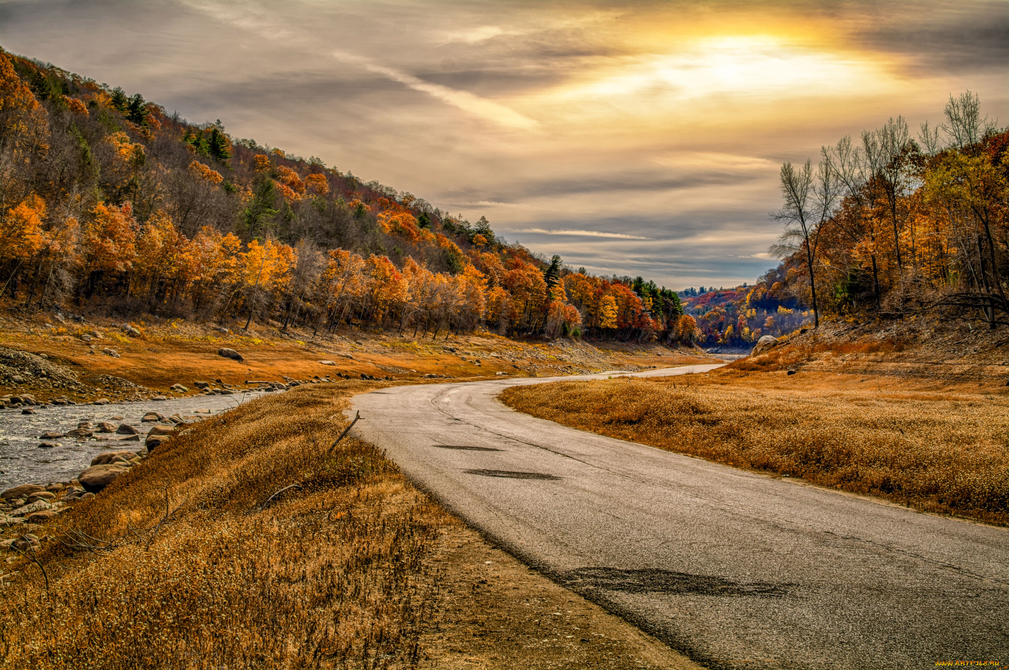 природа, дороги, лес, дорога