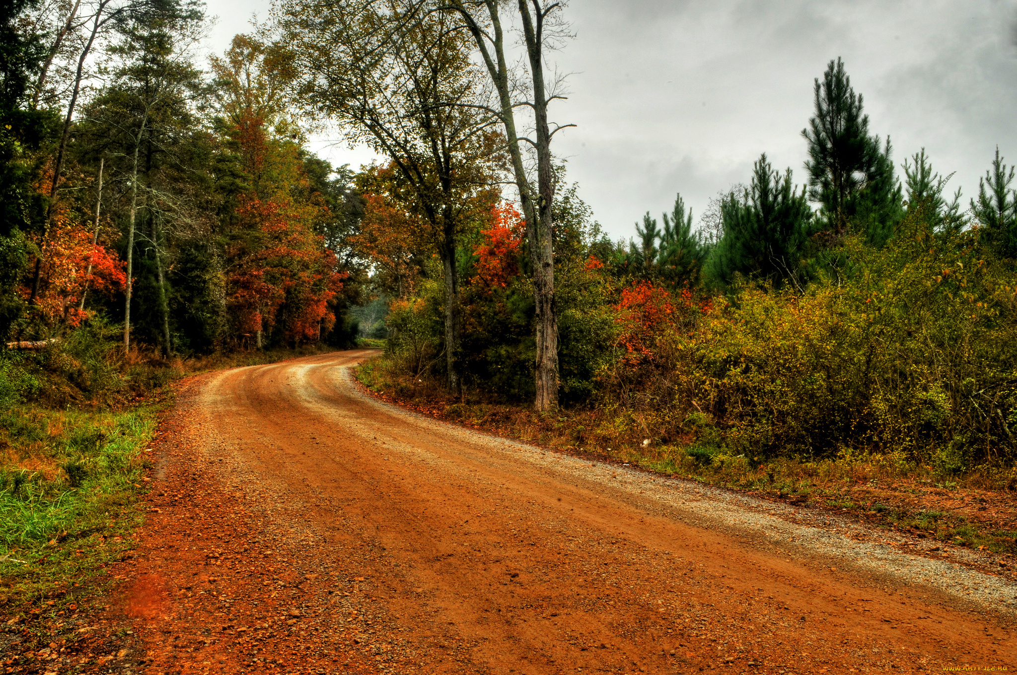 природа, дороги, тракт, лес