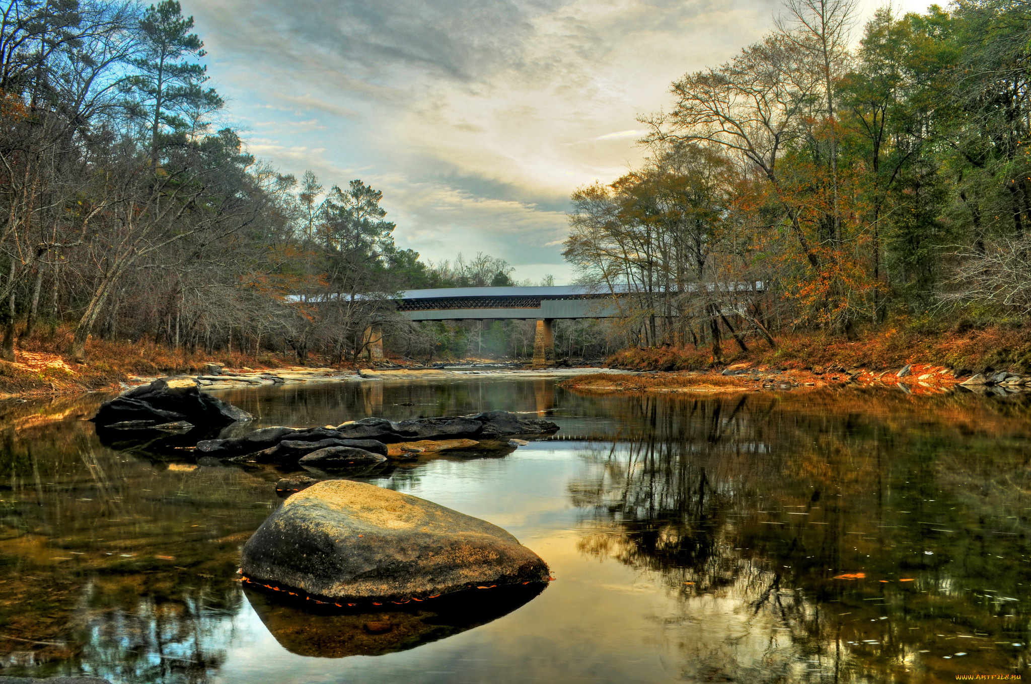 природа, реки, озера, река, лес