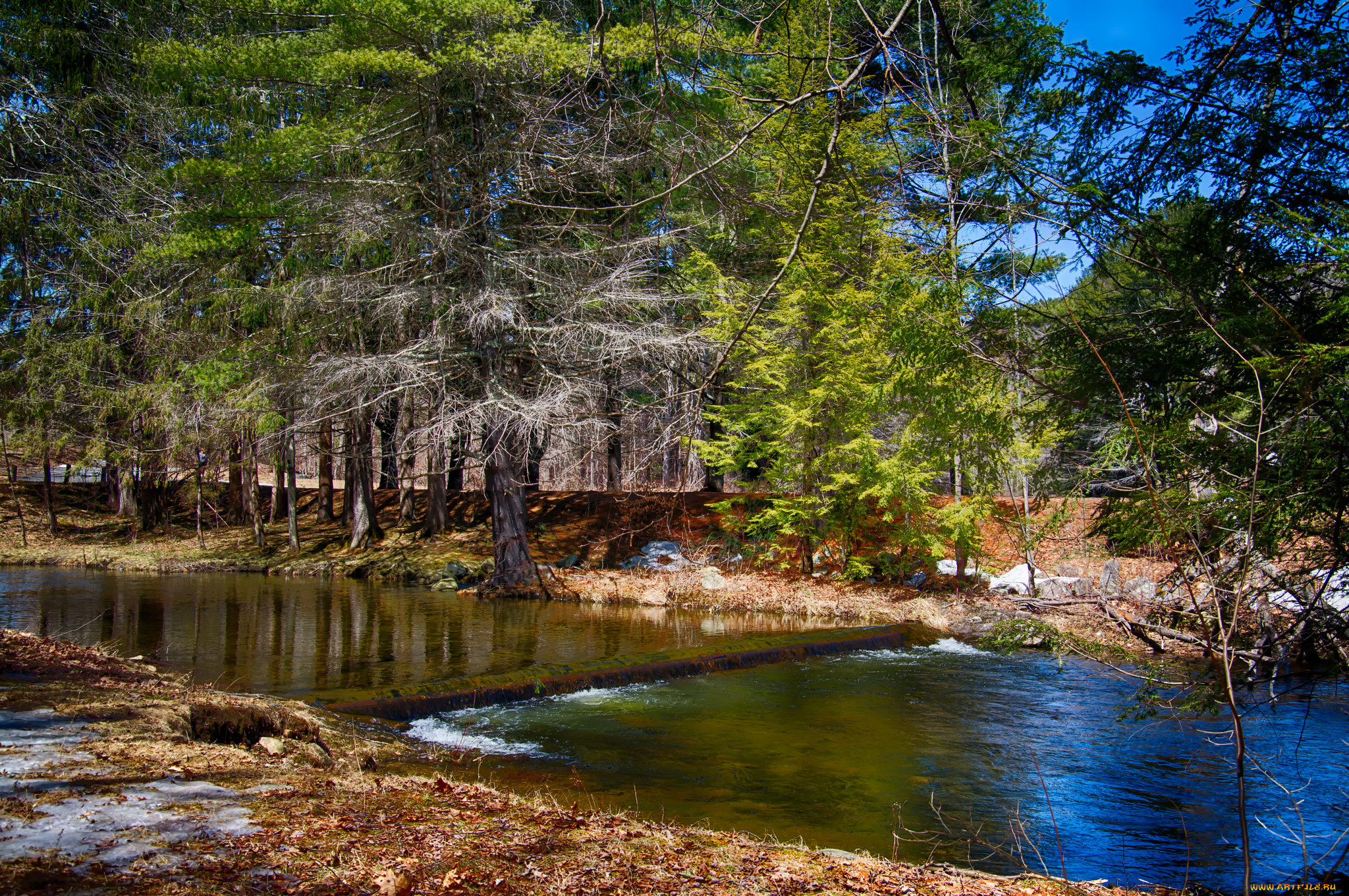 природа, реки, озера, река, лес