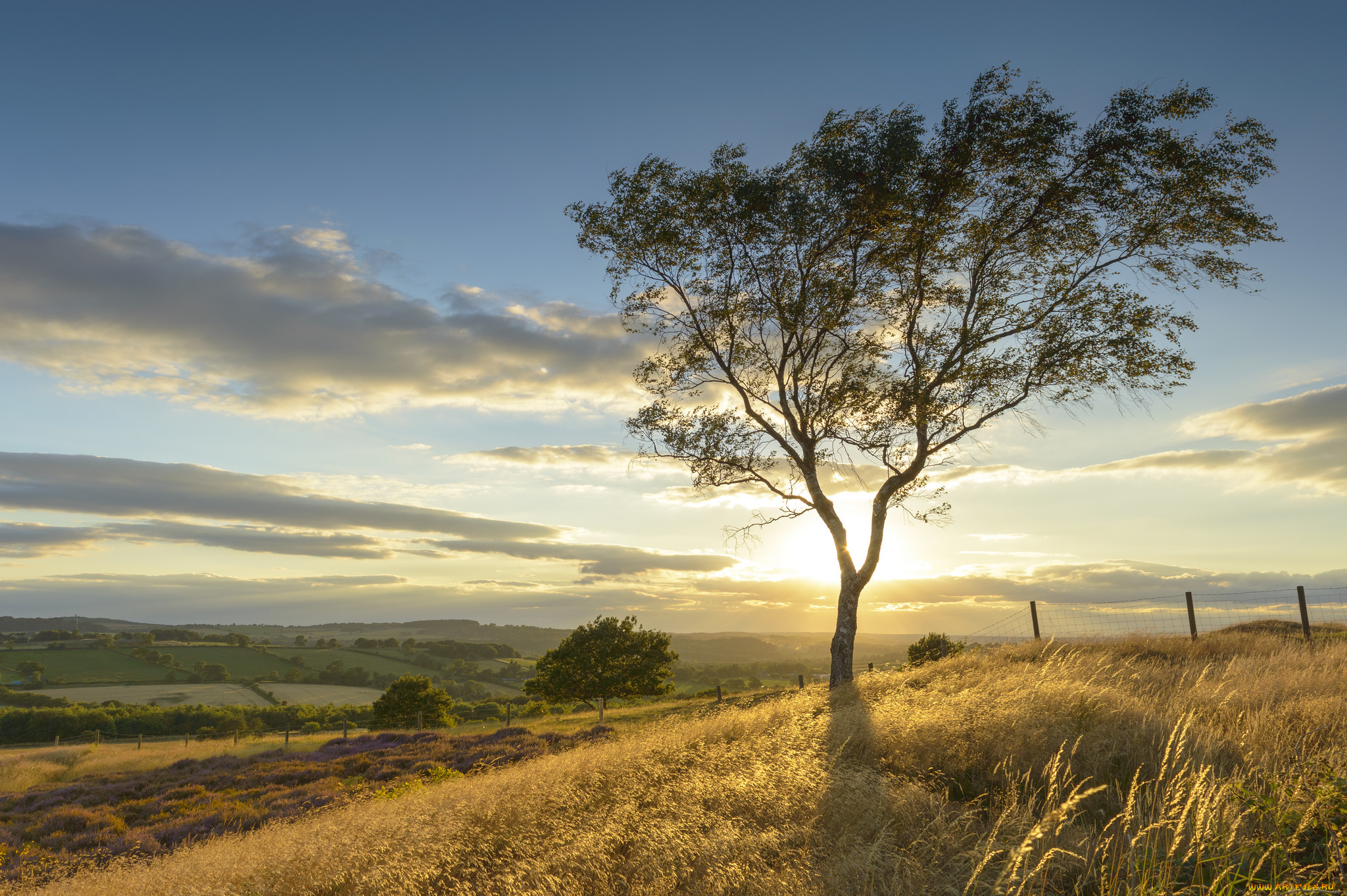природа, восходы, закаты, рассвет