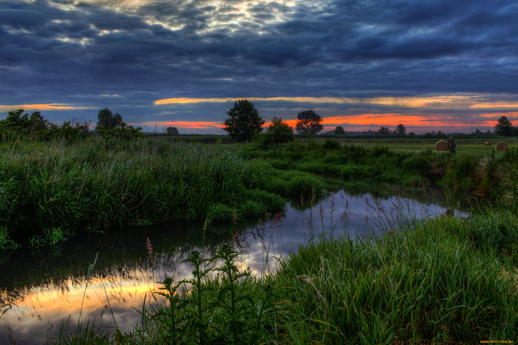 природа, реки, озера, поле, река