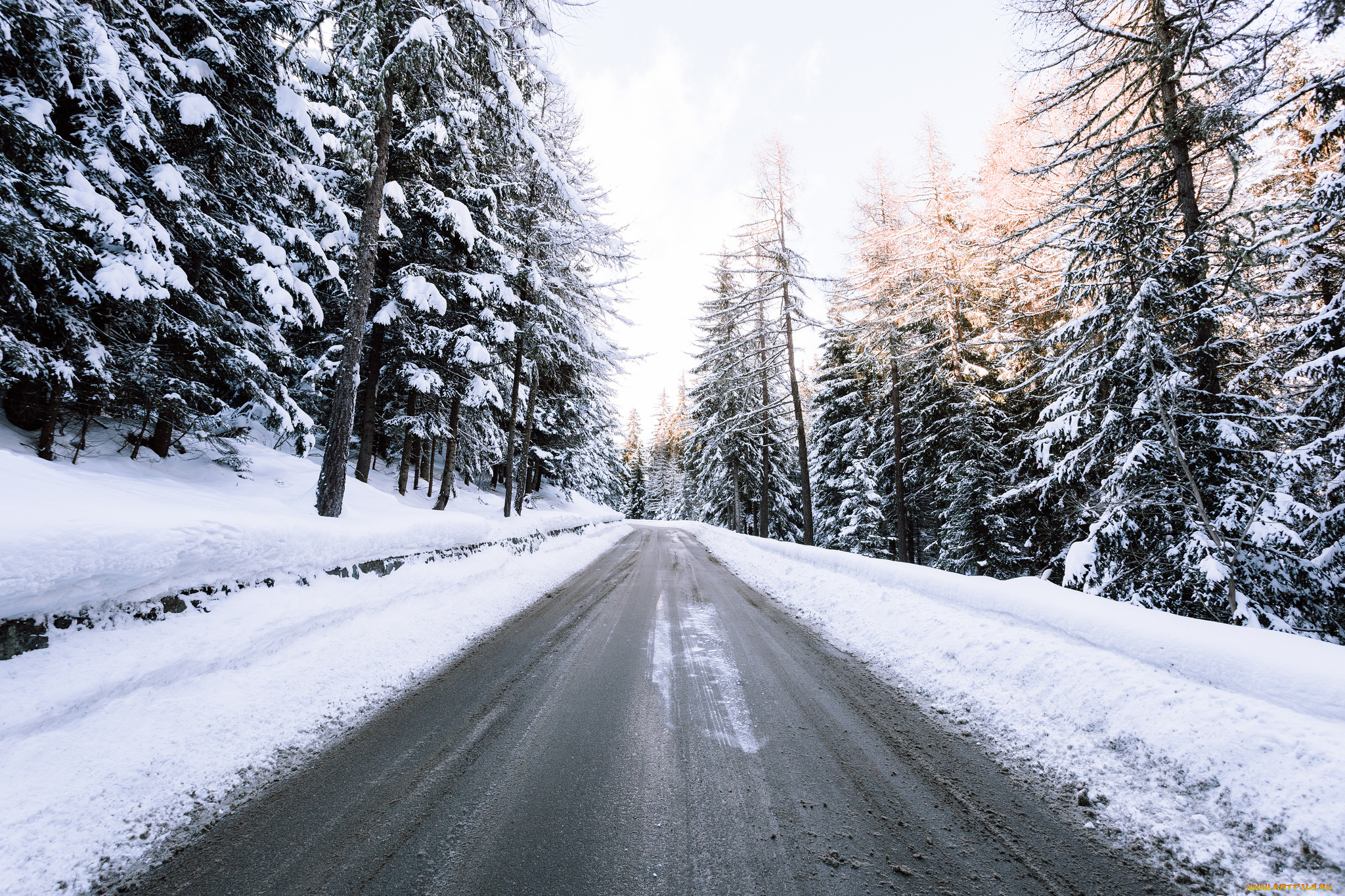 природа, дороги, дорога, зима, лес