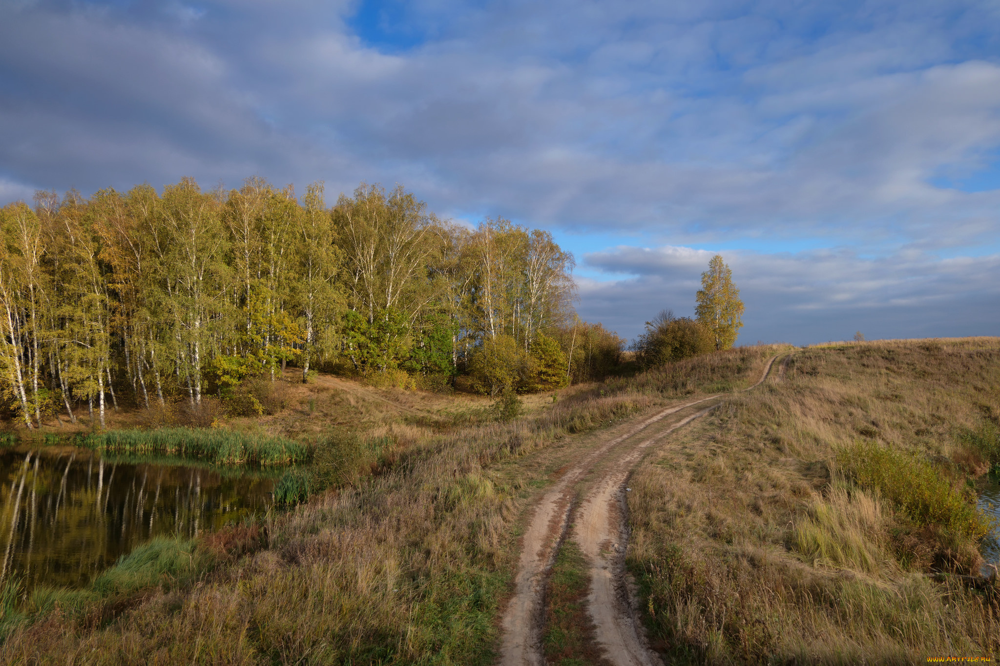 природа, дороги, колея, поле, лес