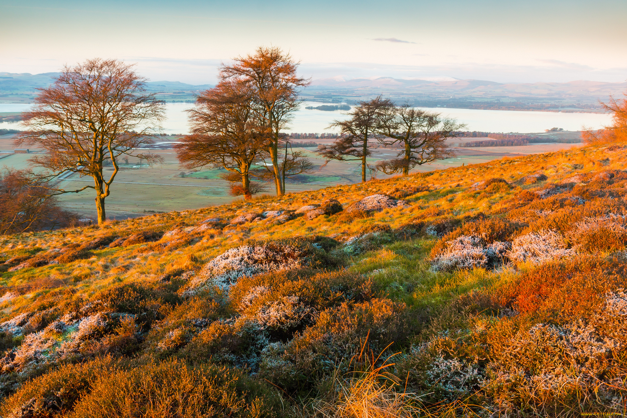 природа, пейзажи, деревья, пейзаж, иней, осень, горы, холмы, трава, озеро