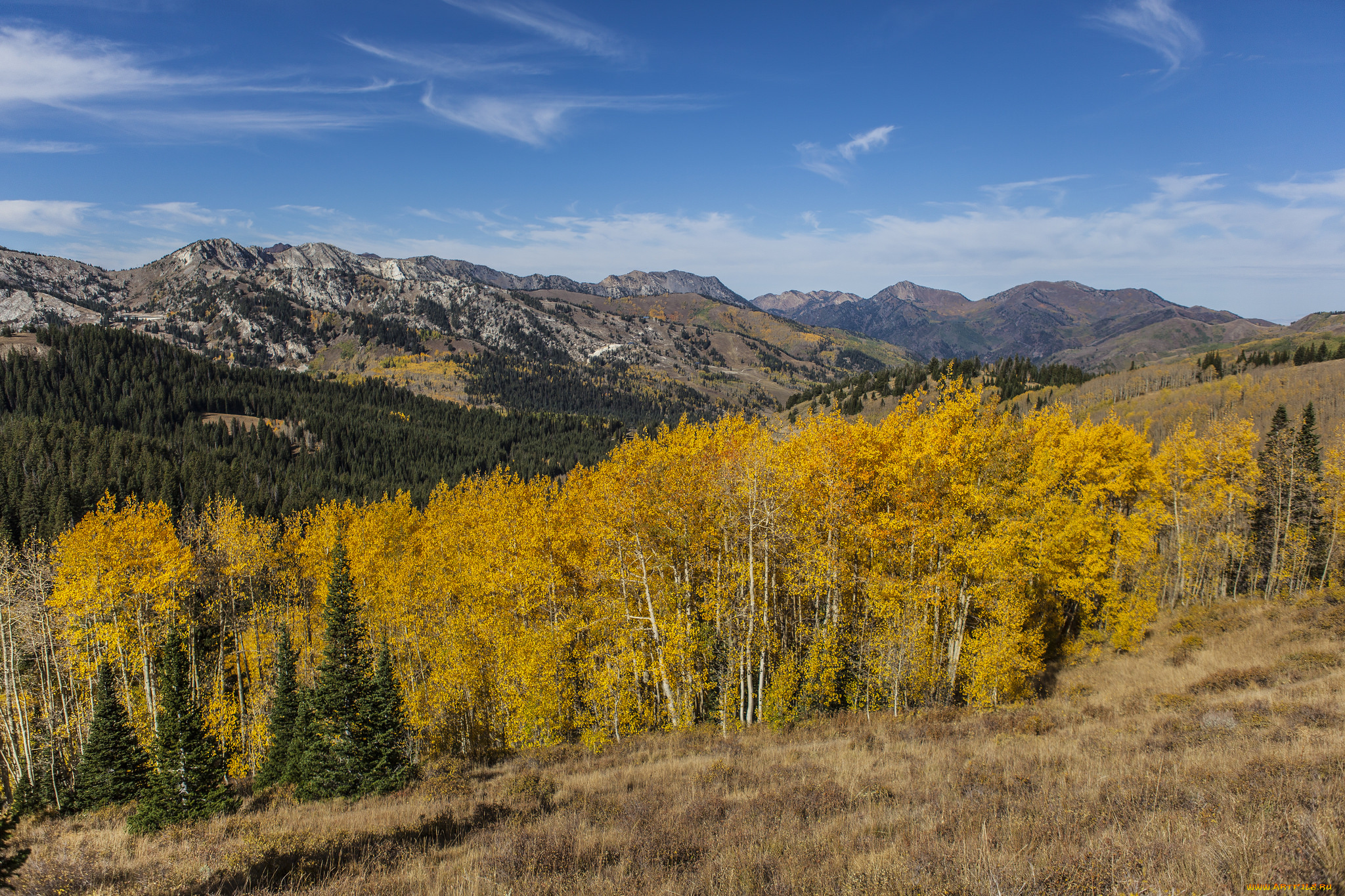 природа, пейзажи, краски, осень