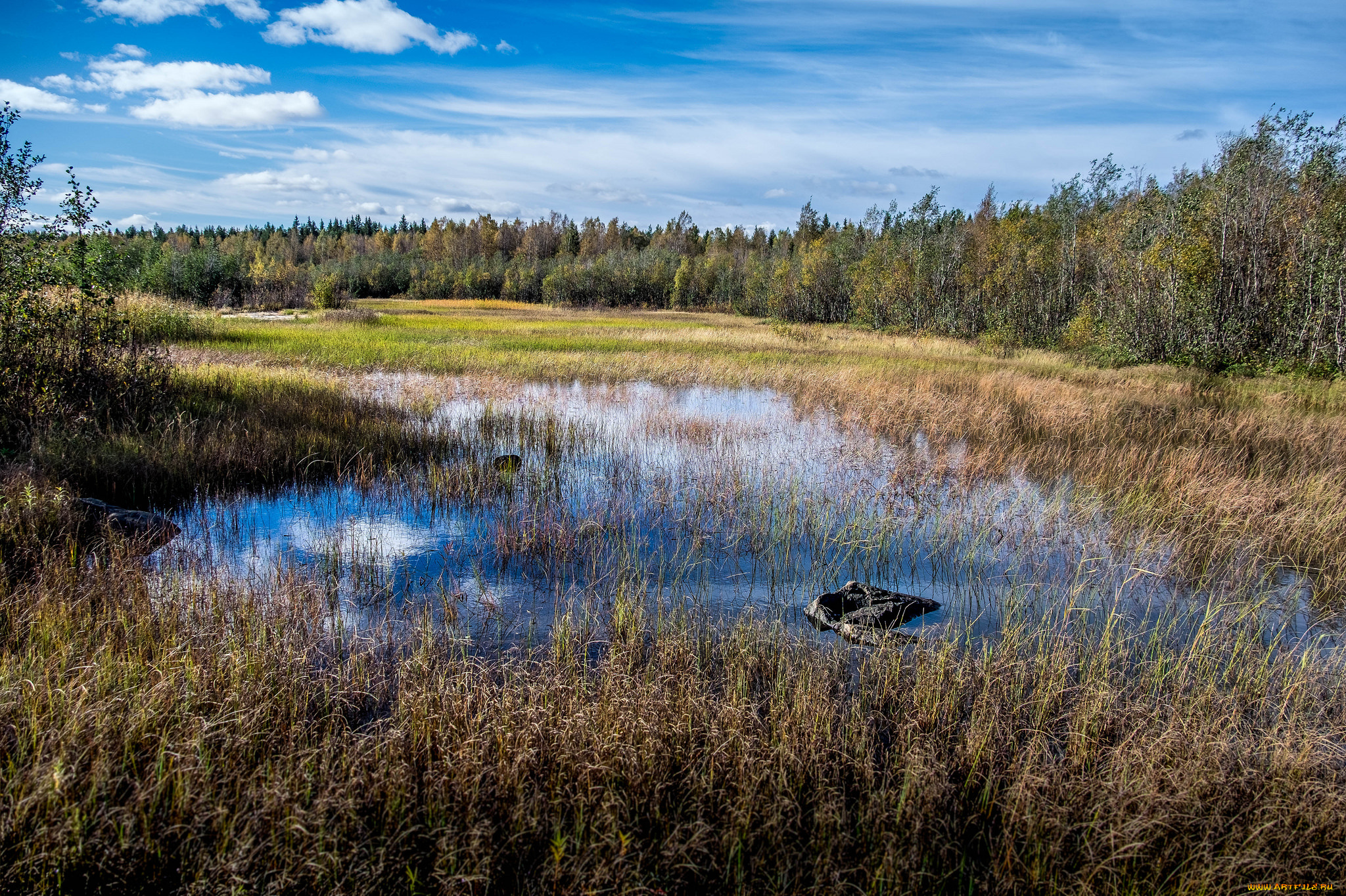 природа, реки, озера, река, лес