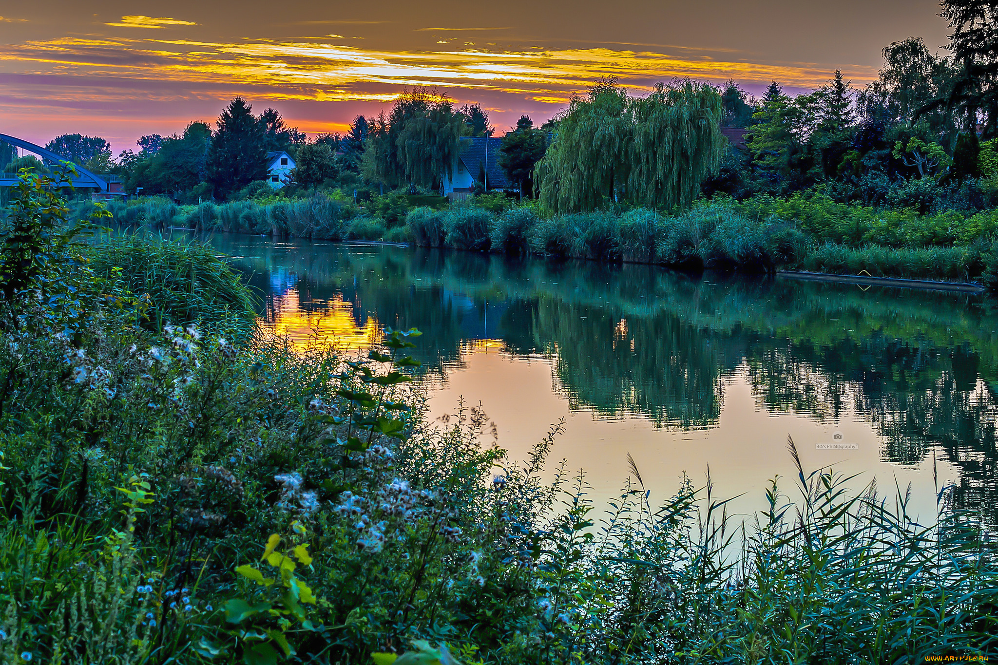 природа, реки, озера, река, лес