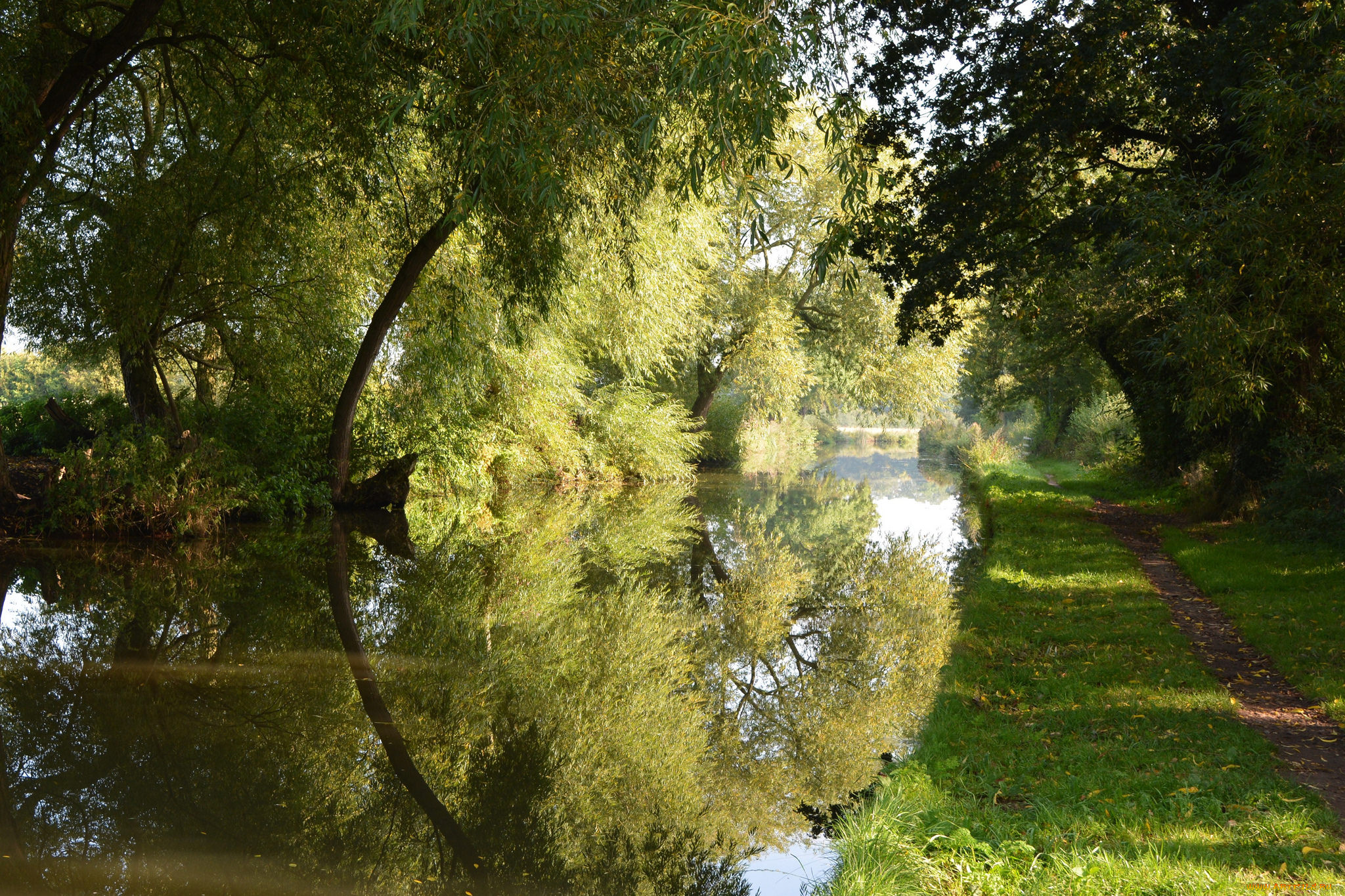 природа, реки, озера, река, лес