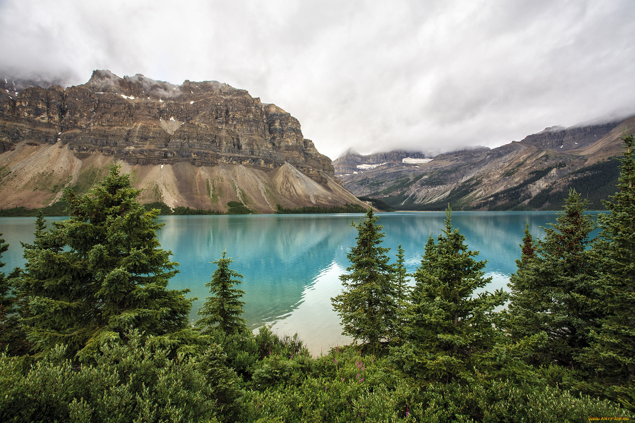 природа, реки, озера, река, лес, горы