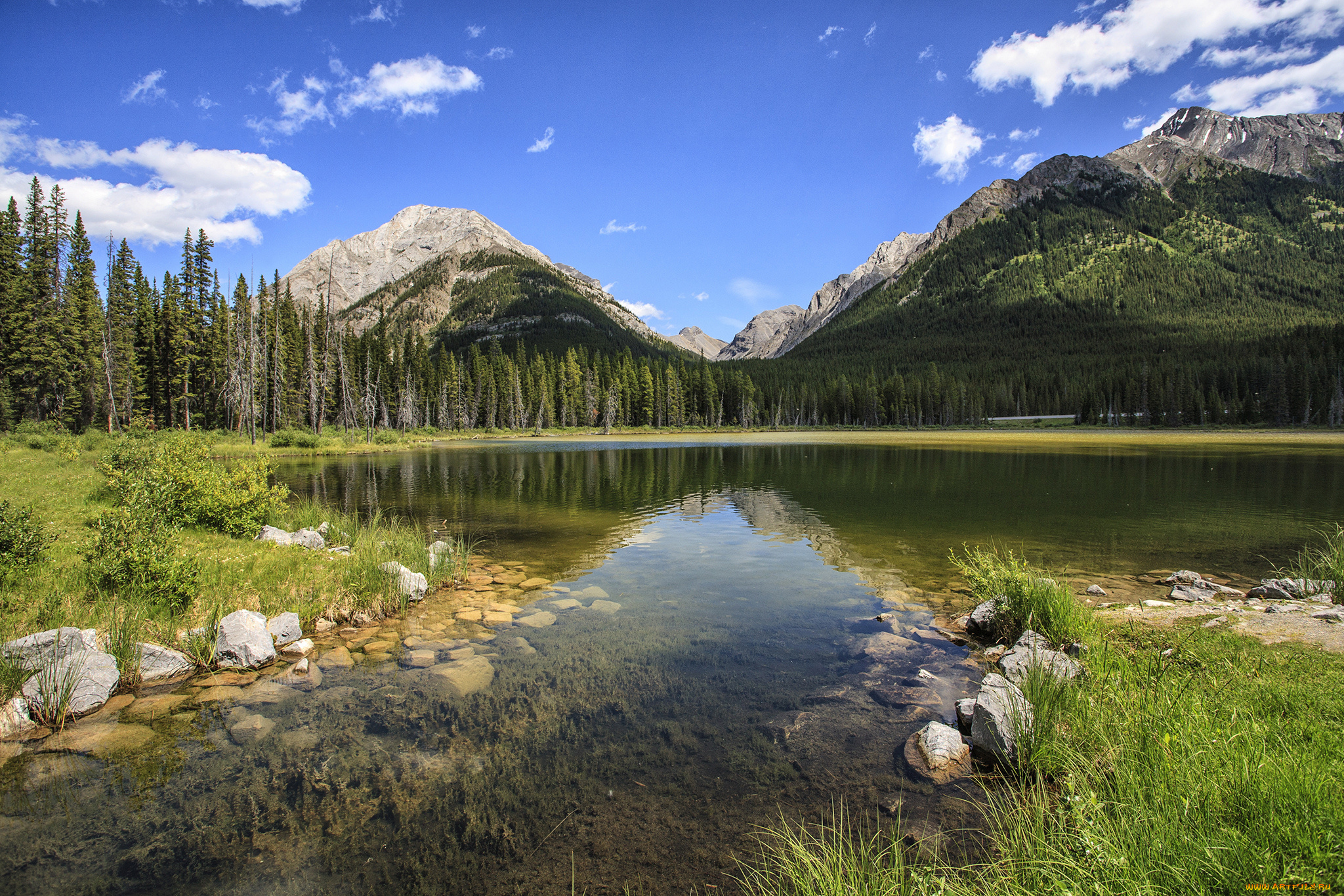 природа, реки, озера, река, лес, горы