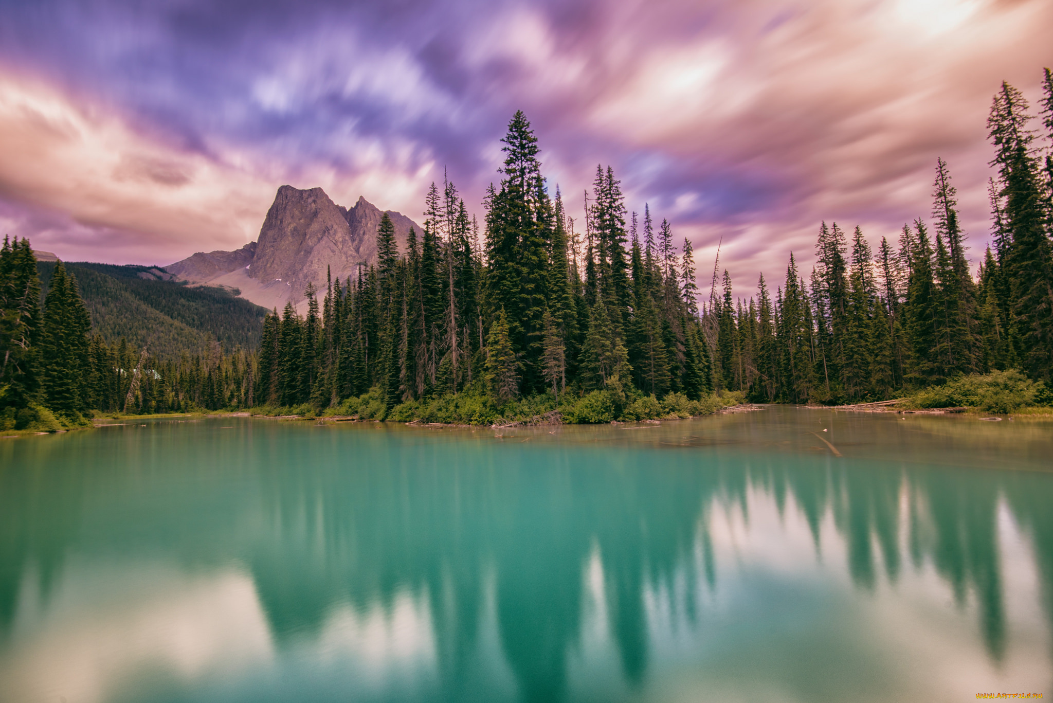 природа, реки, озера, лес, река