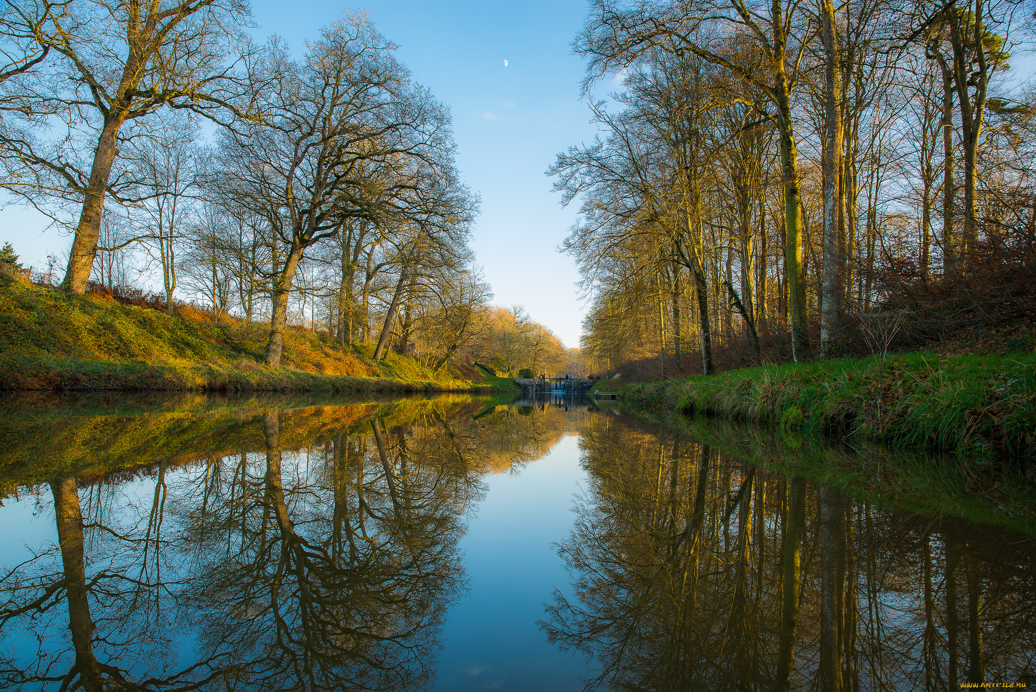 природа, реки, озера, лес, река