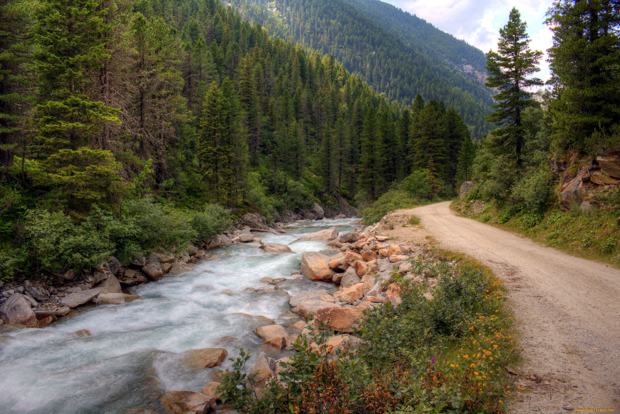 природа, реки, озера, река, лес, горы