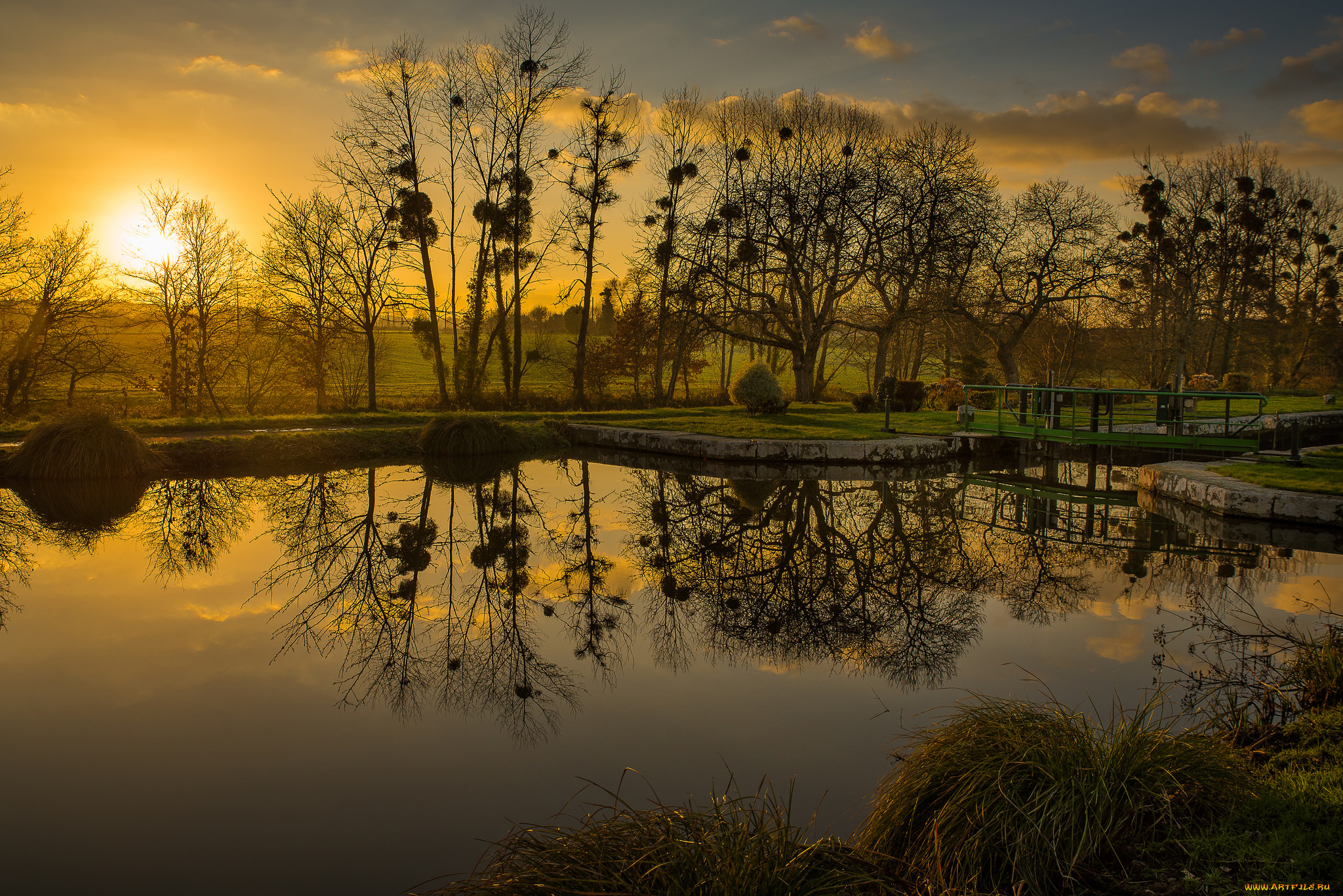 природа, восходы, закаты, река, лес