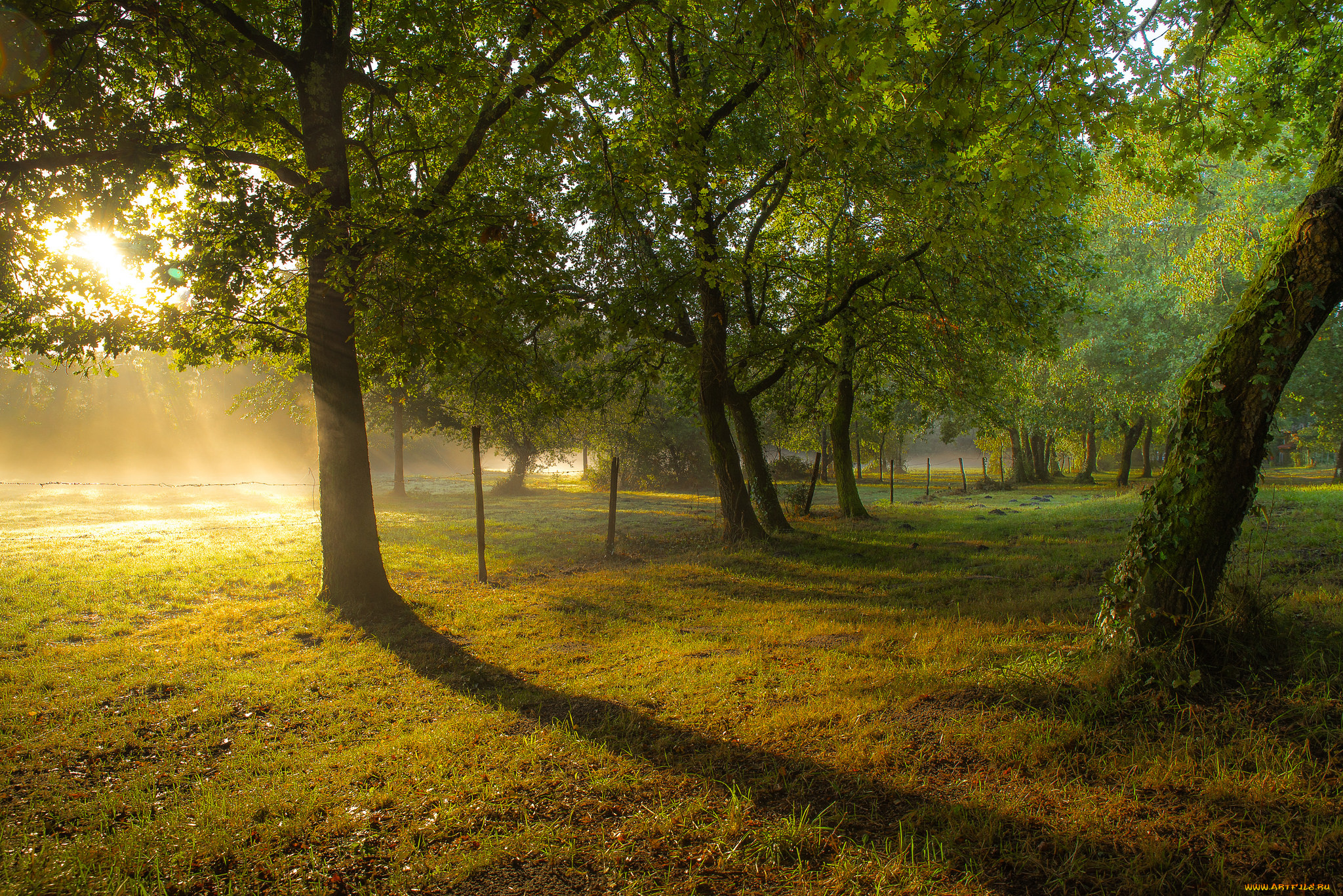 природа, восходы, закаты, утро