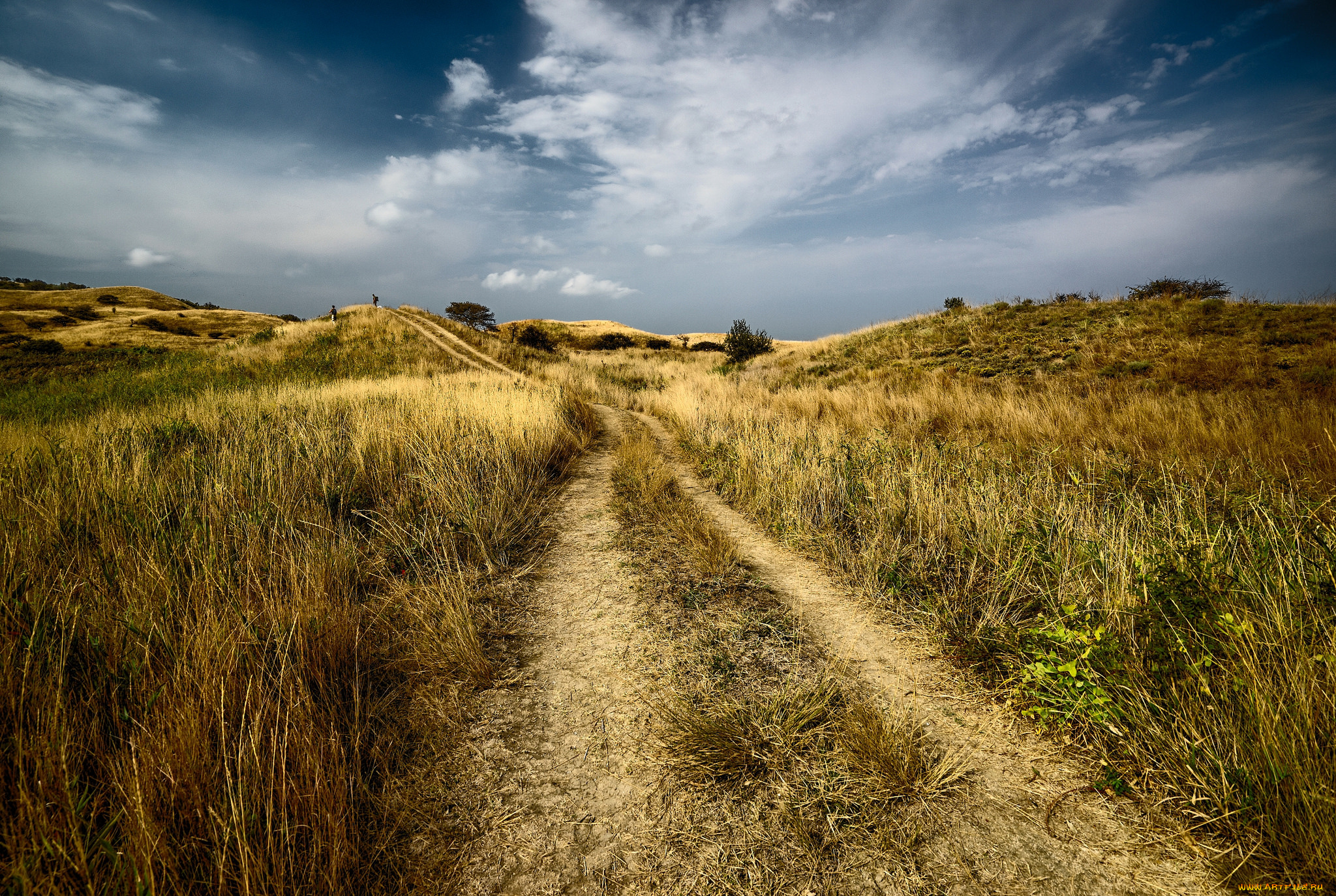 природа, дороги, колея, поле