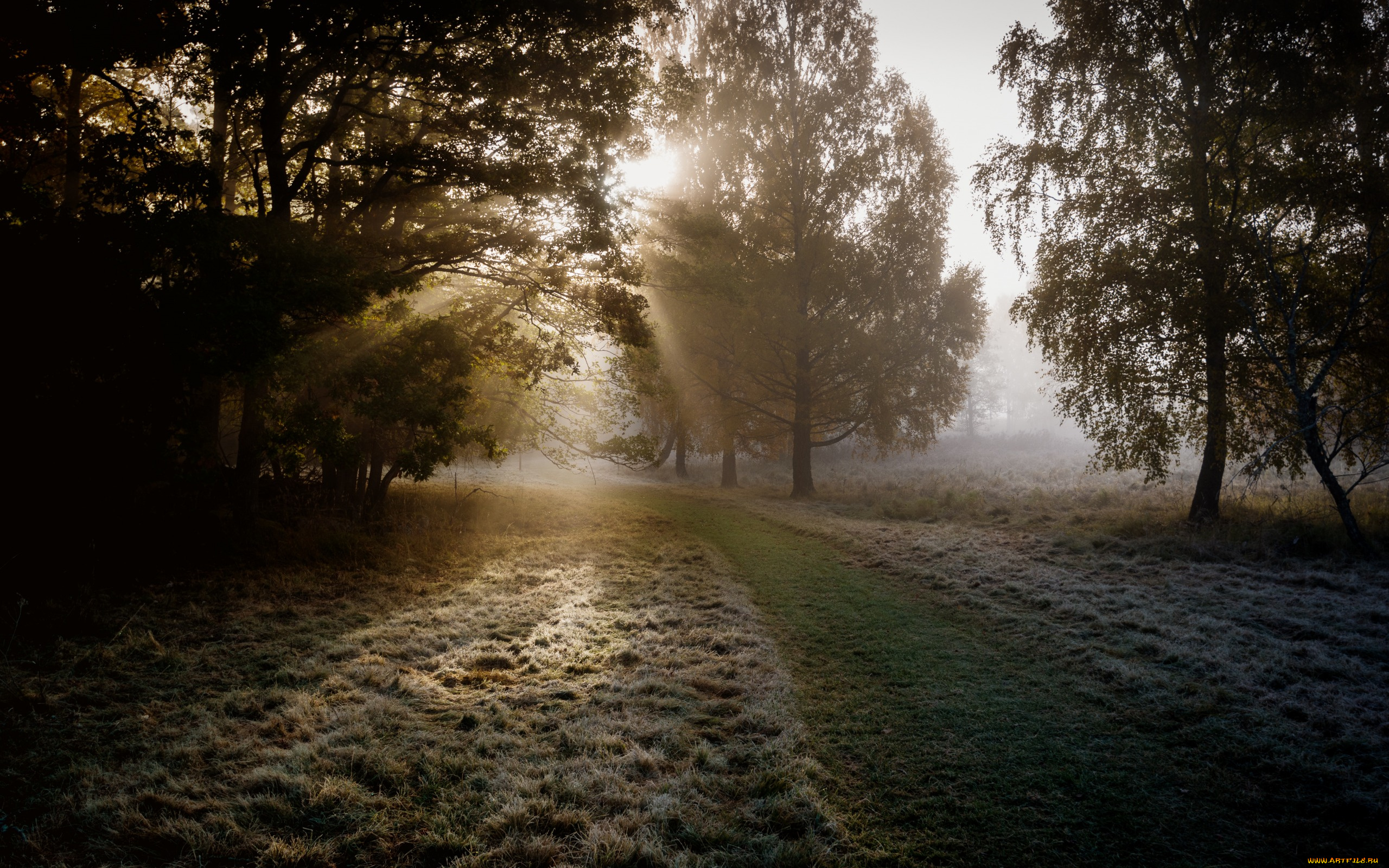 природа, дороги, вечер, осень, иней