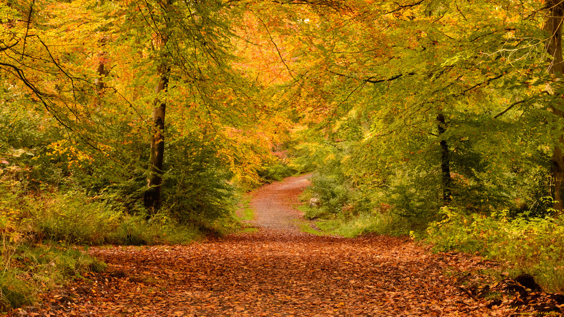 природа, дороги, тракт