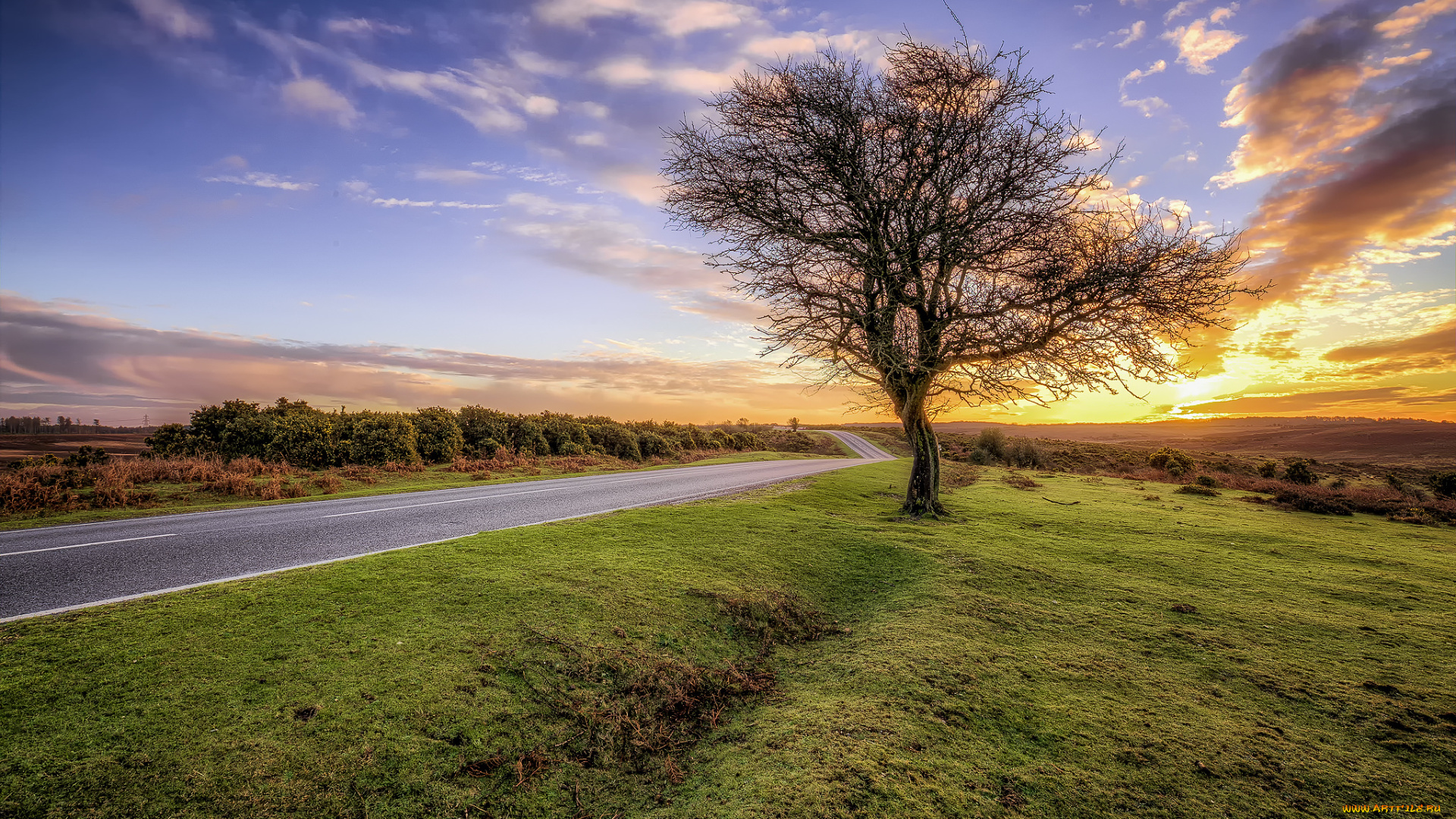 природа, дороги, тракт