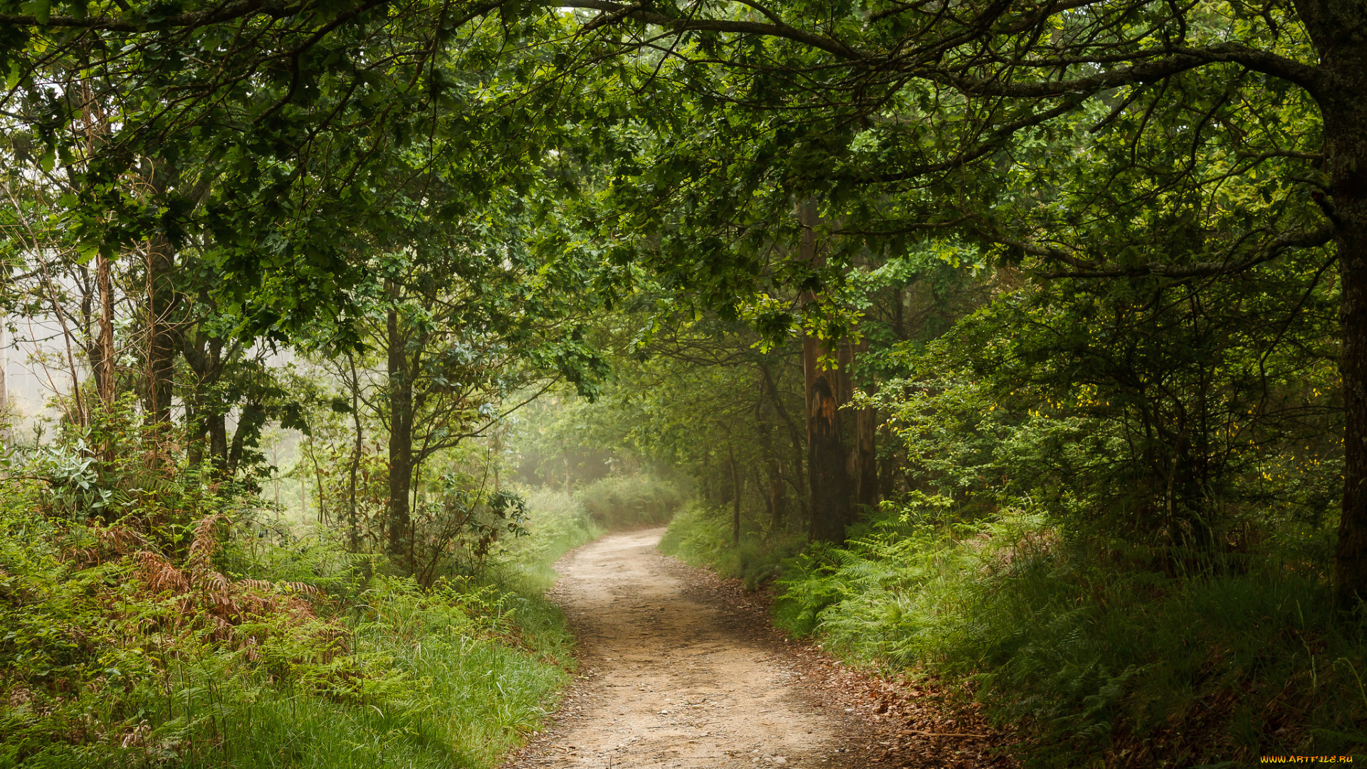 природа, дороги, тракт