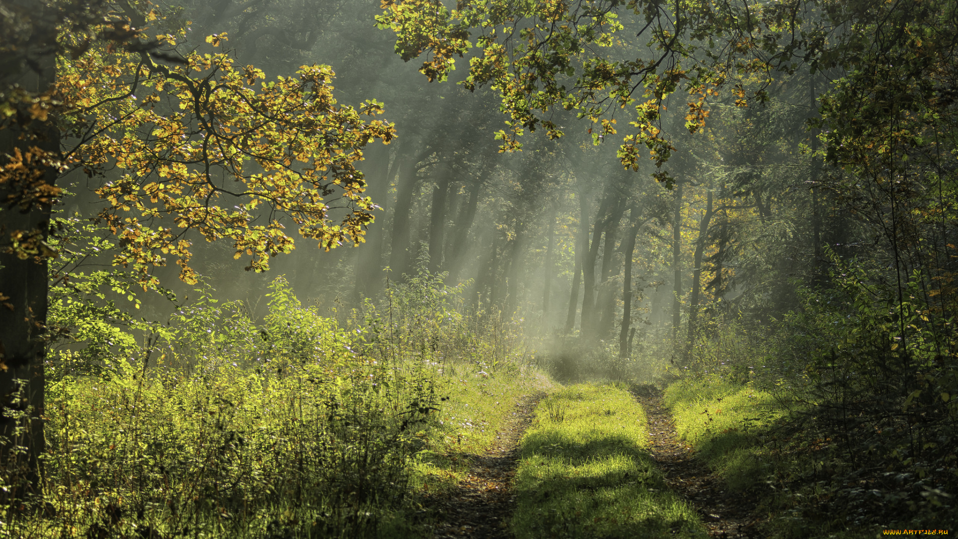 природа, дороги, тракт