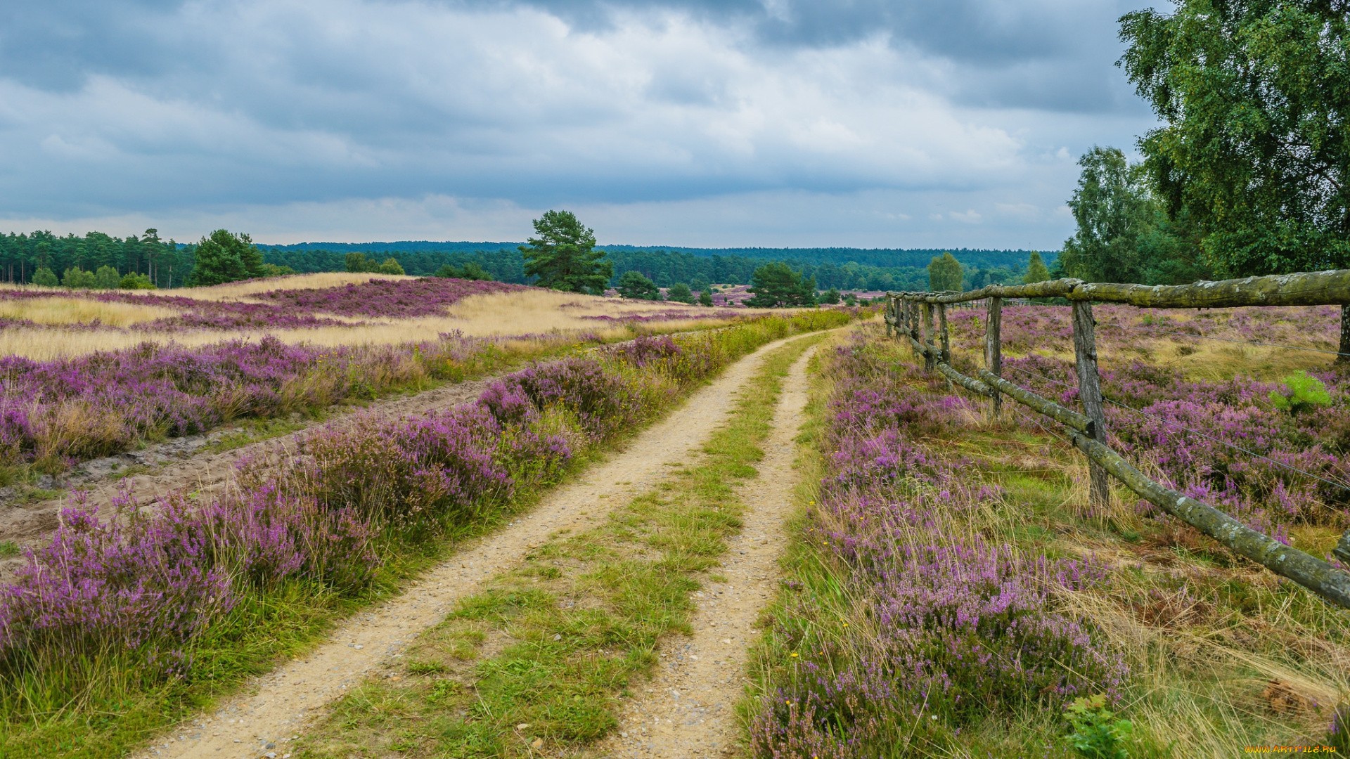 природа, дороги, тракт