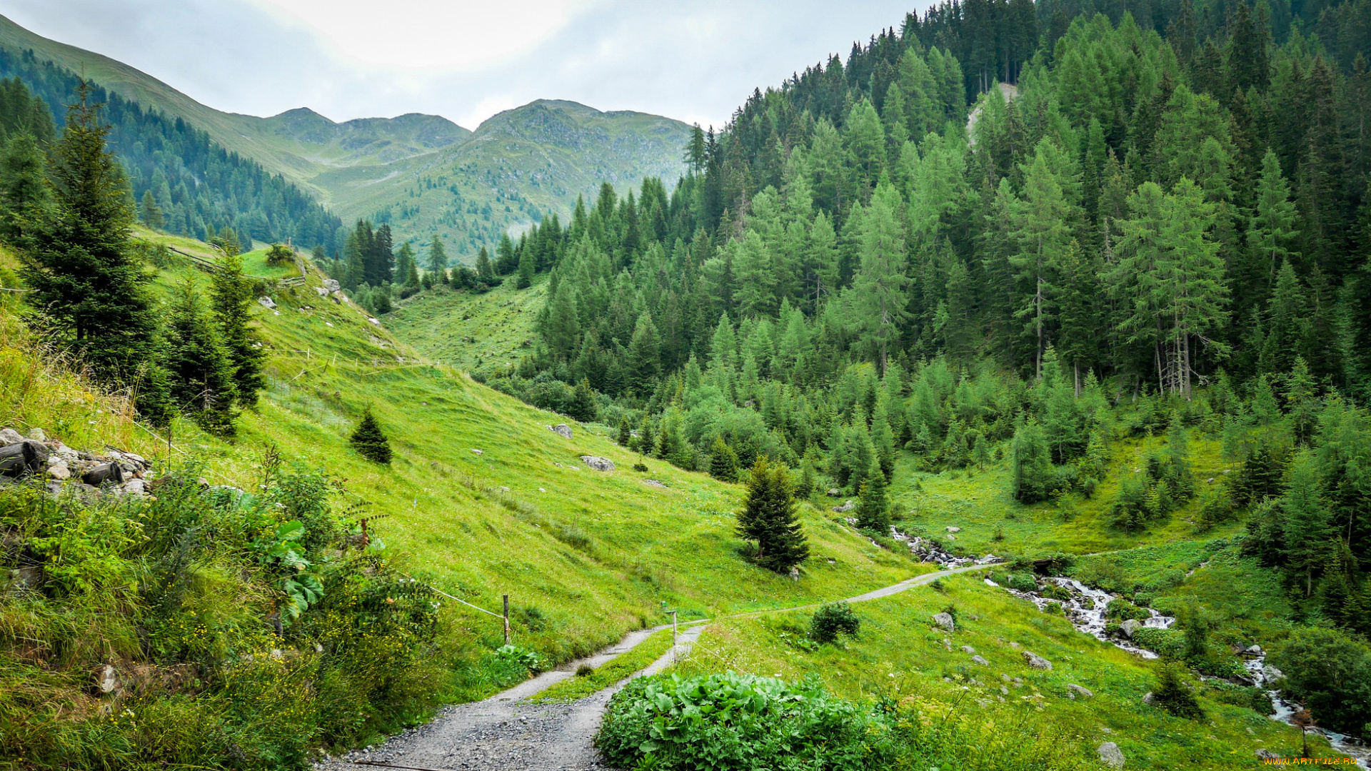 природа, дороги, тракт