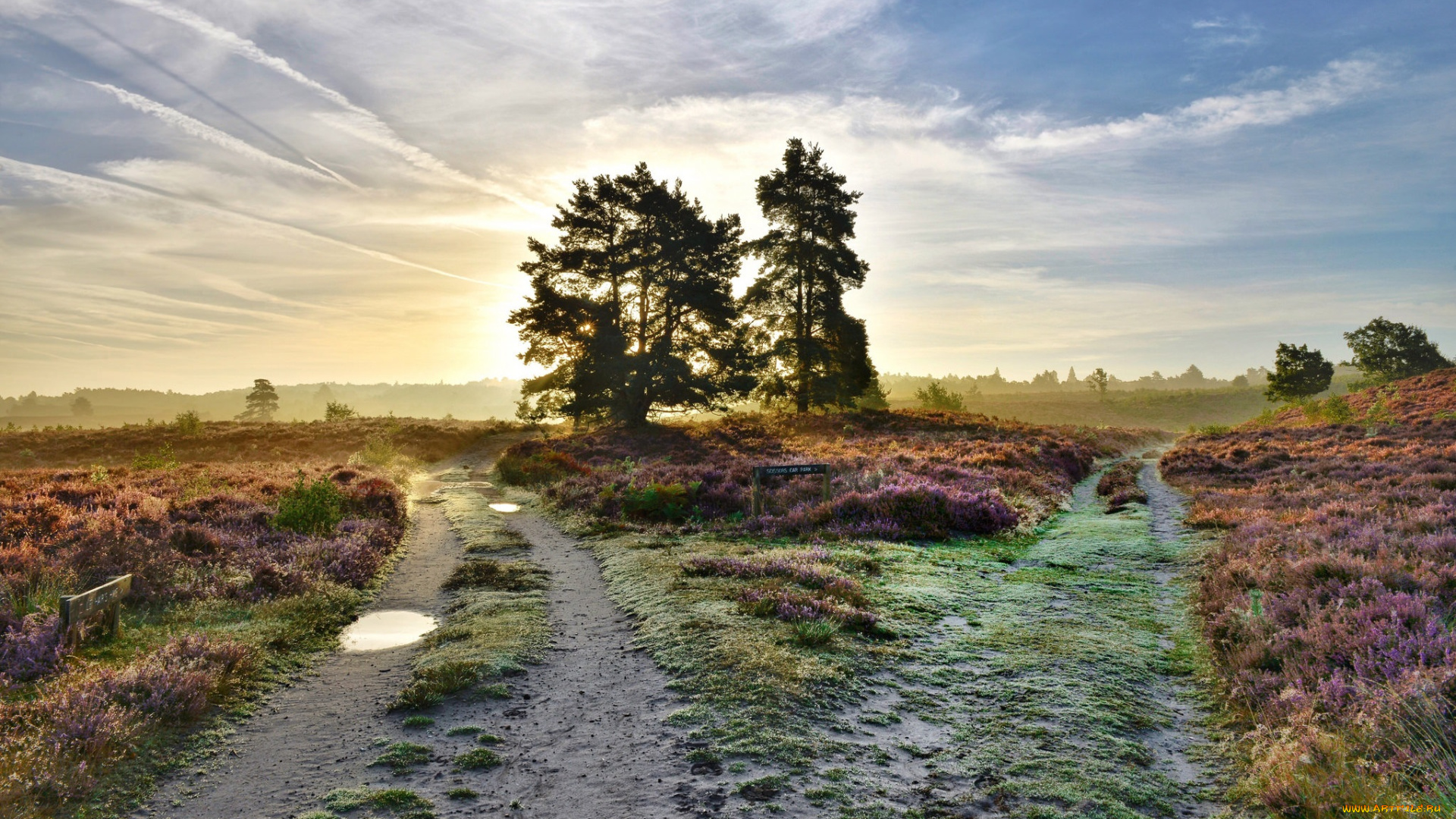 природа, дороги, тракт