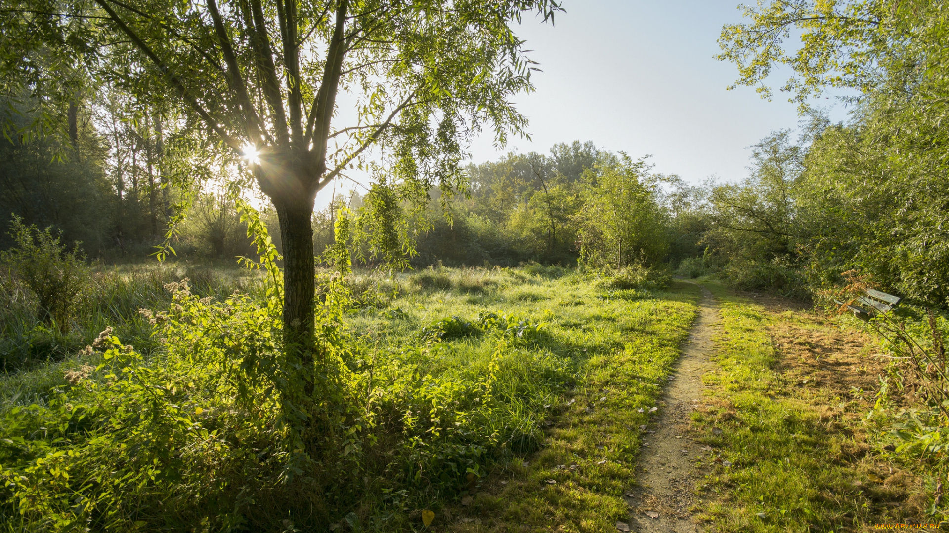 природа, дороги, тракт