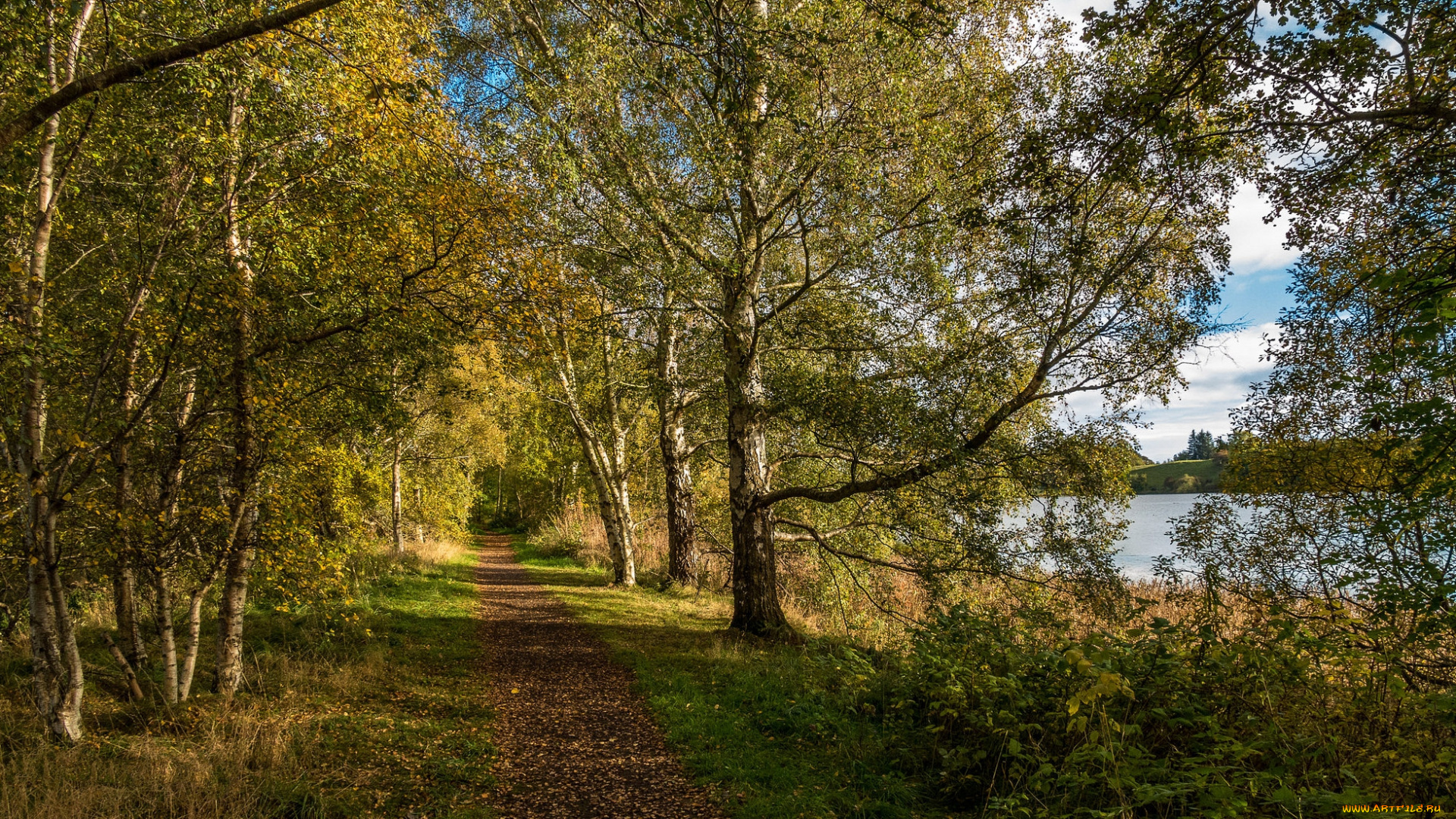 природа, дороги, тракт