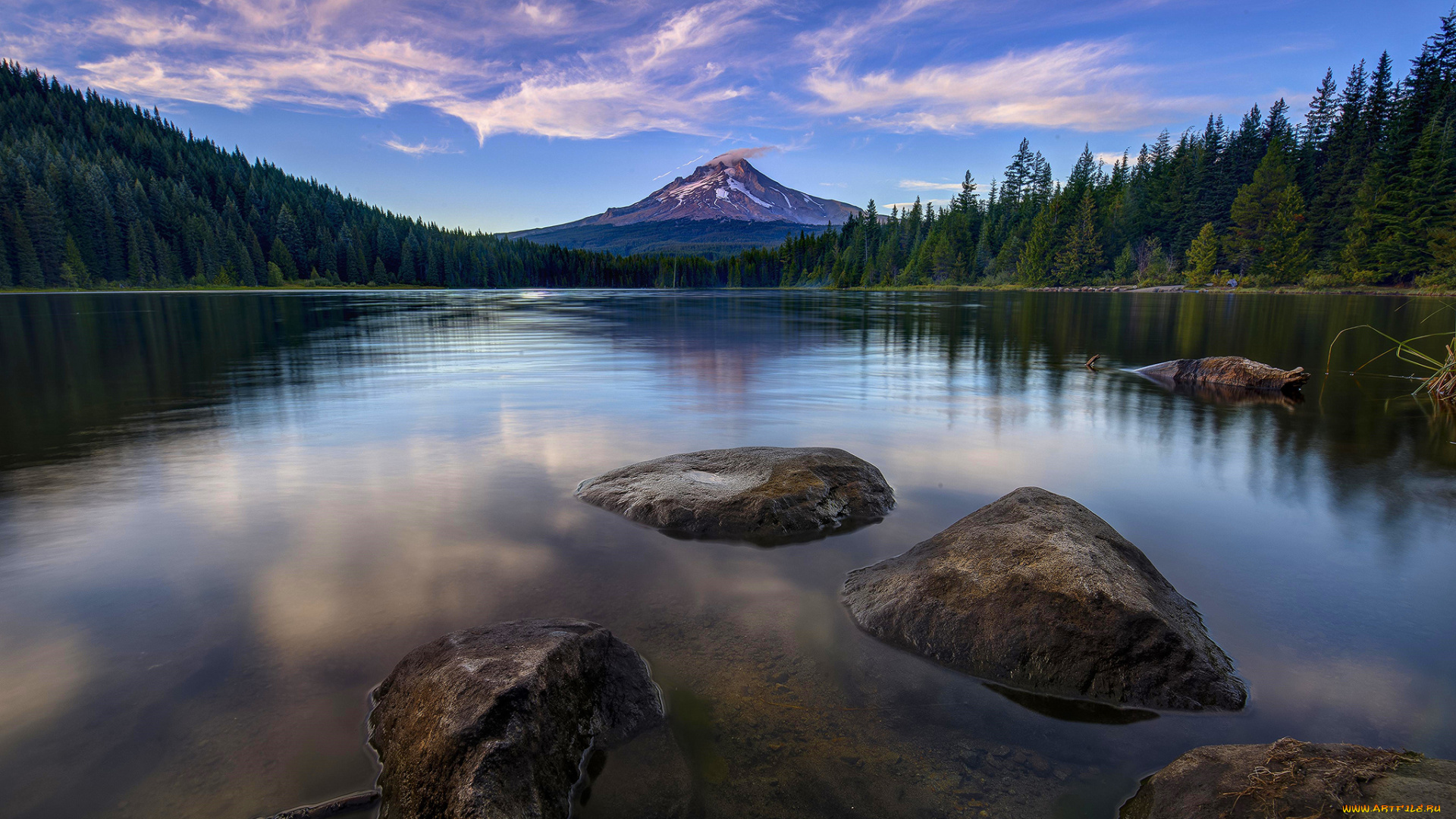 природа, реки, озера, лес, река