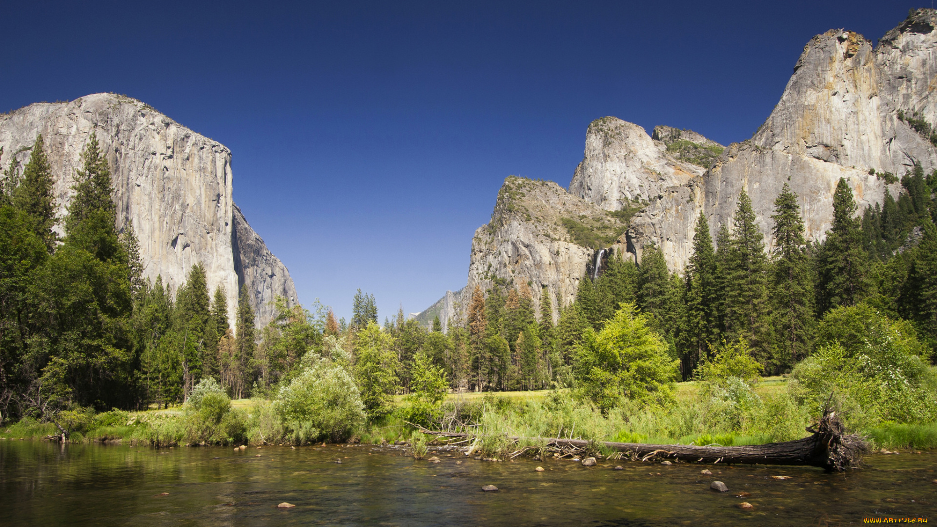 природа, реки, озера, лес, река