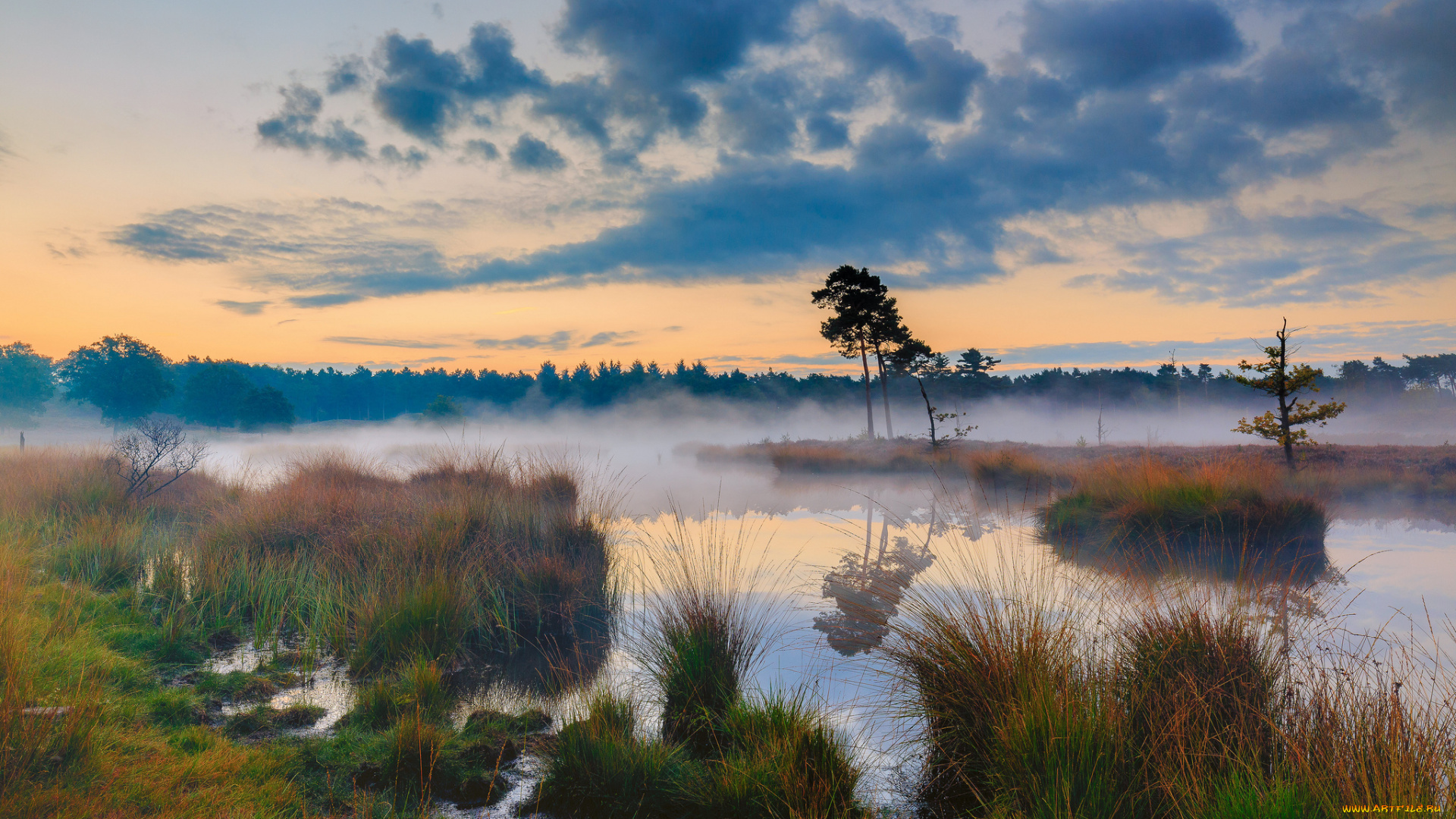 природа, реки, озера, лес, река