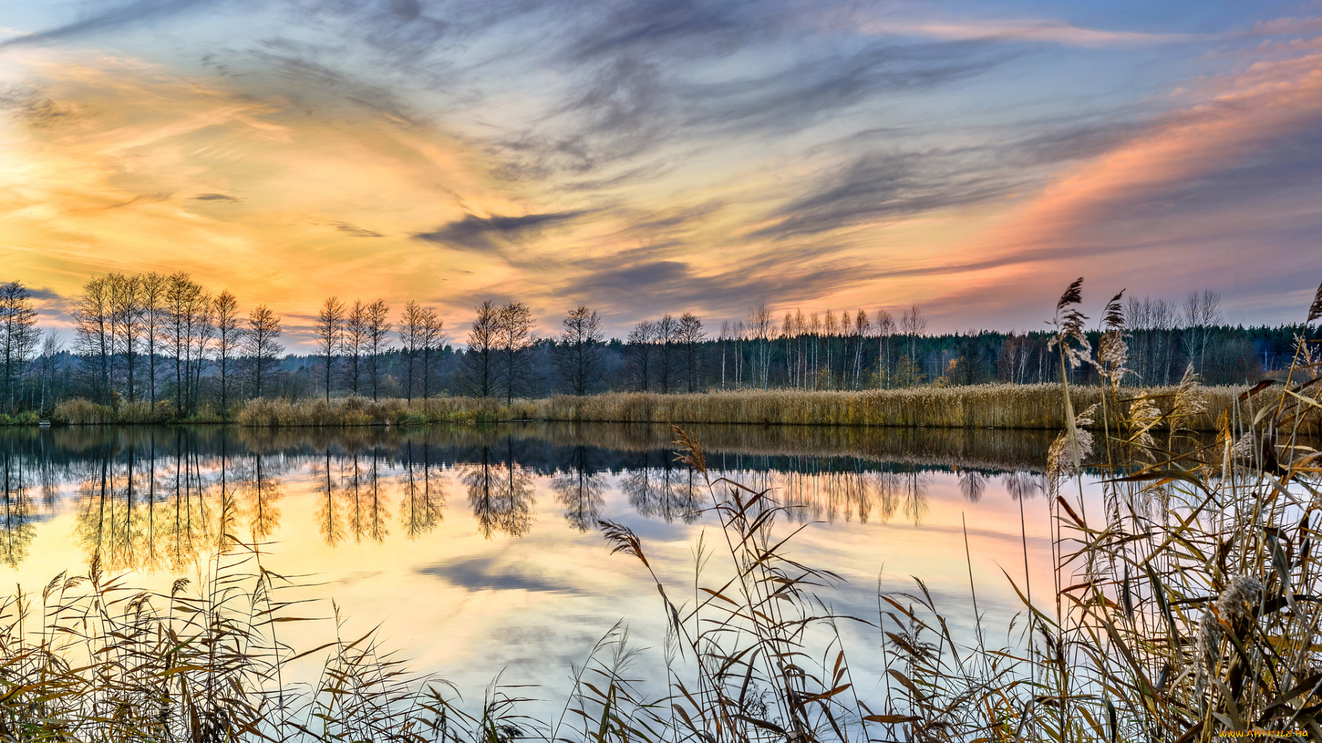 природа, реки, озера, лес, река