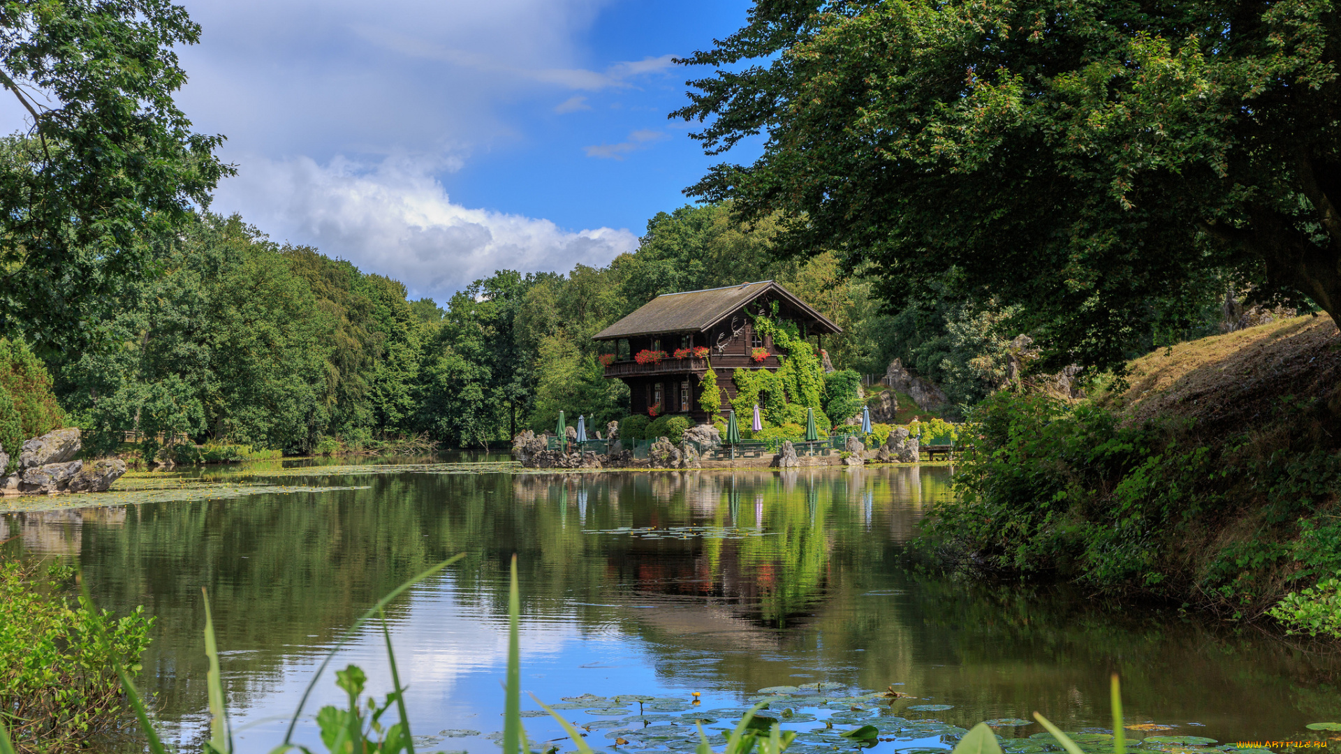 природа, реки, озера, река, лес