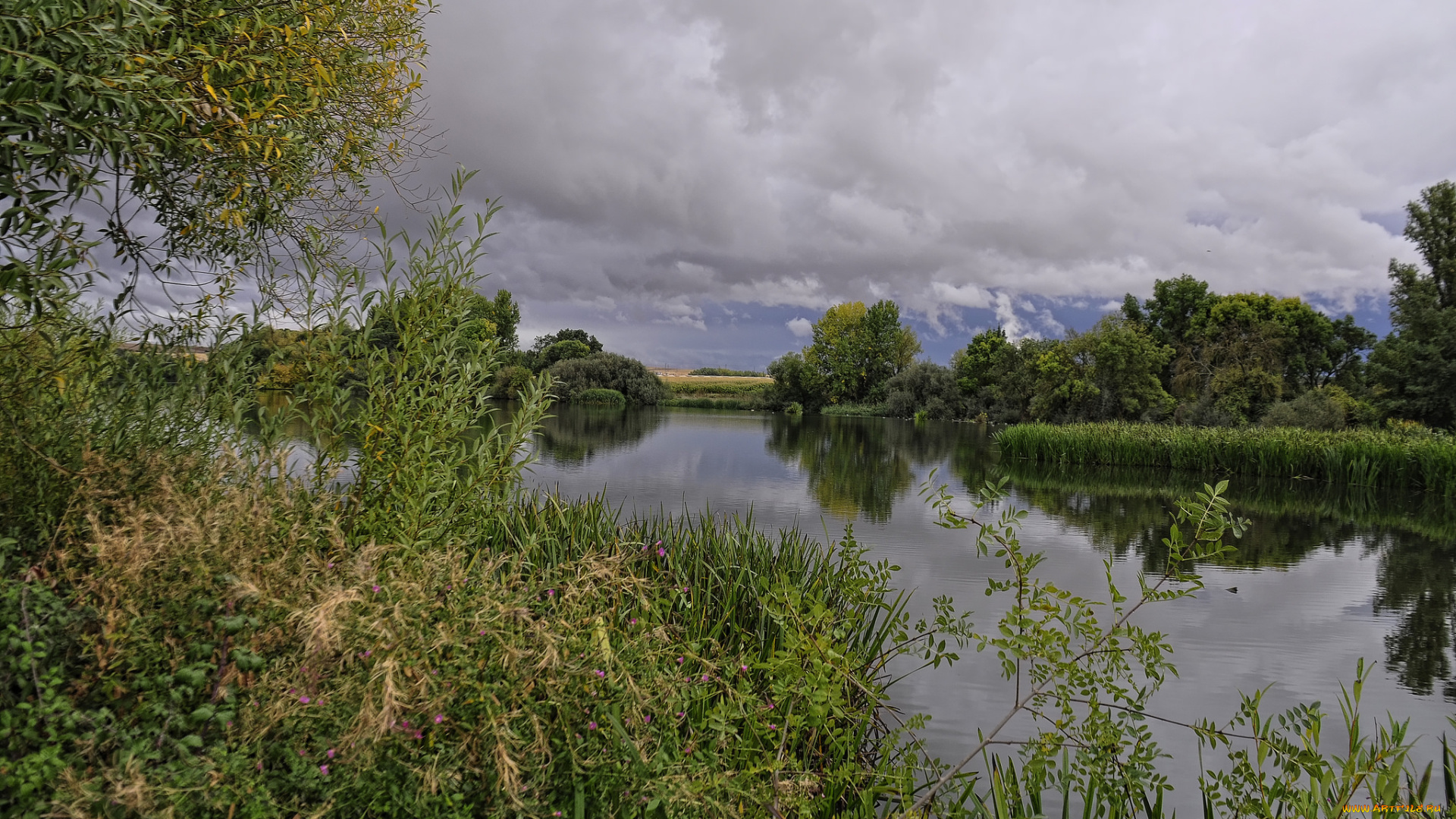 природа, реки, озера, река, лес