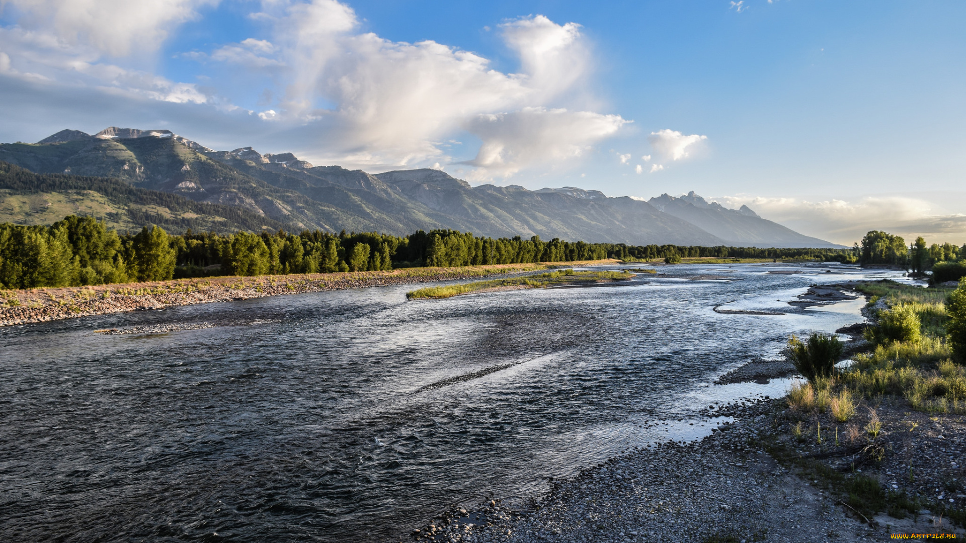 природа, реки, озера, река, лес