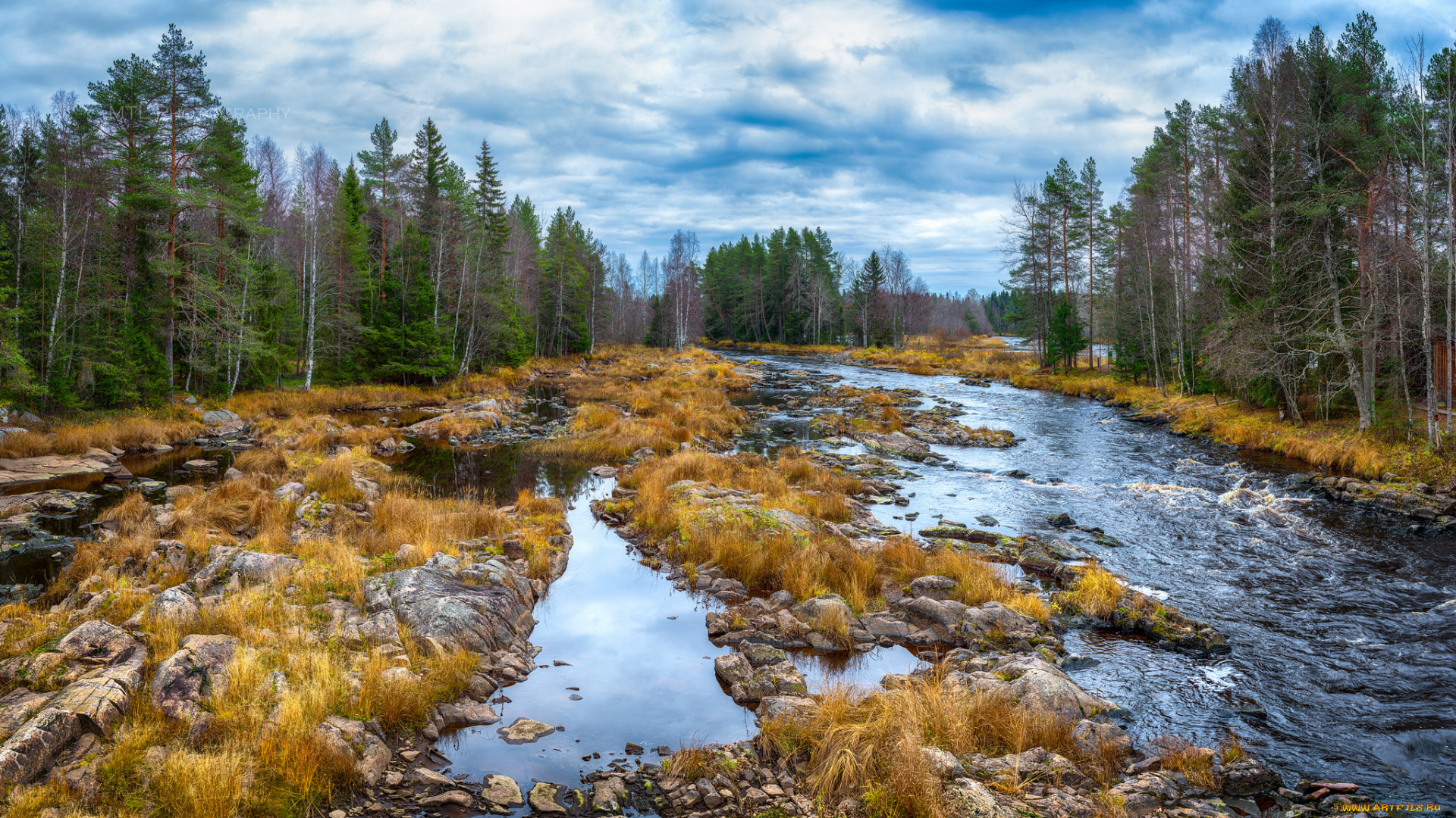 природа, реки, озера, река, лес