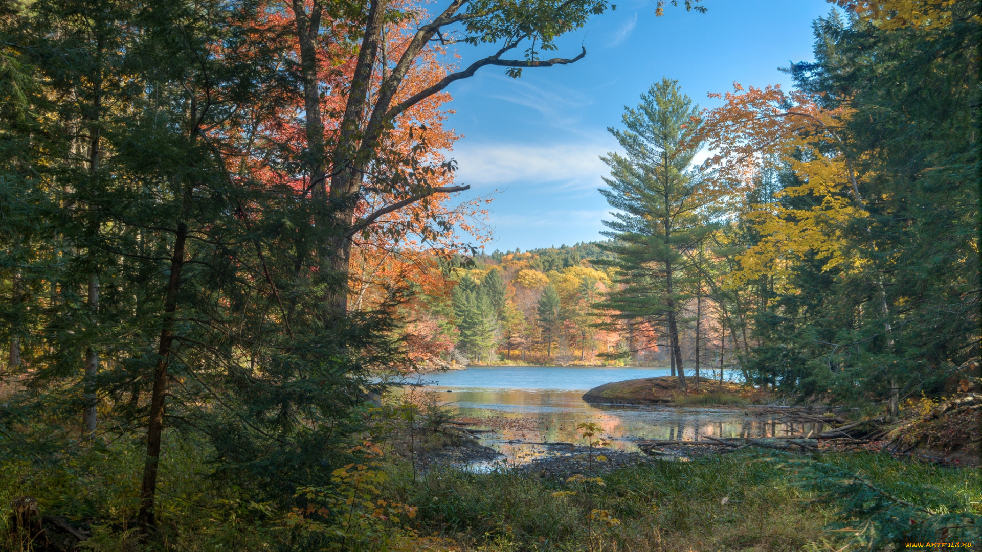 природа, реки, озера, река, лес