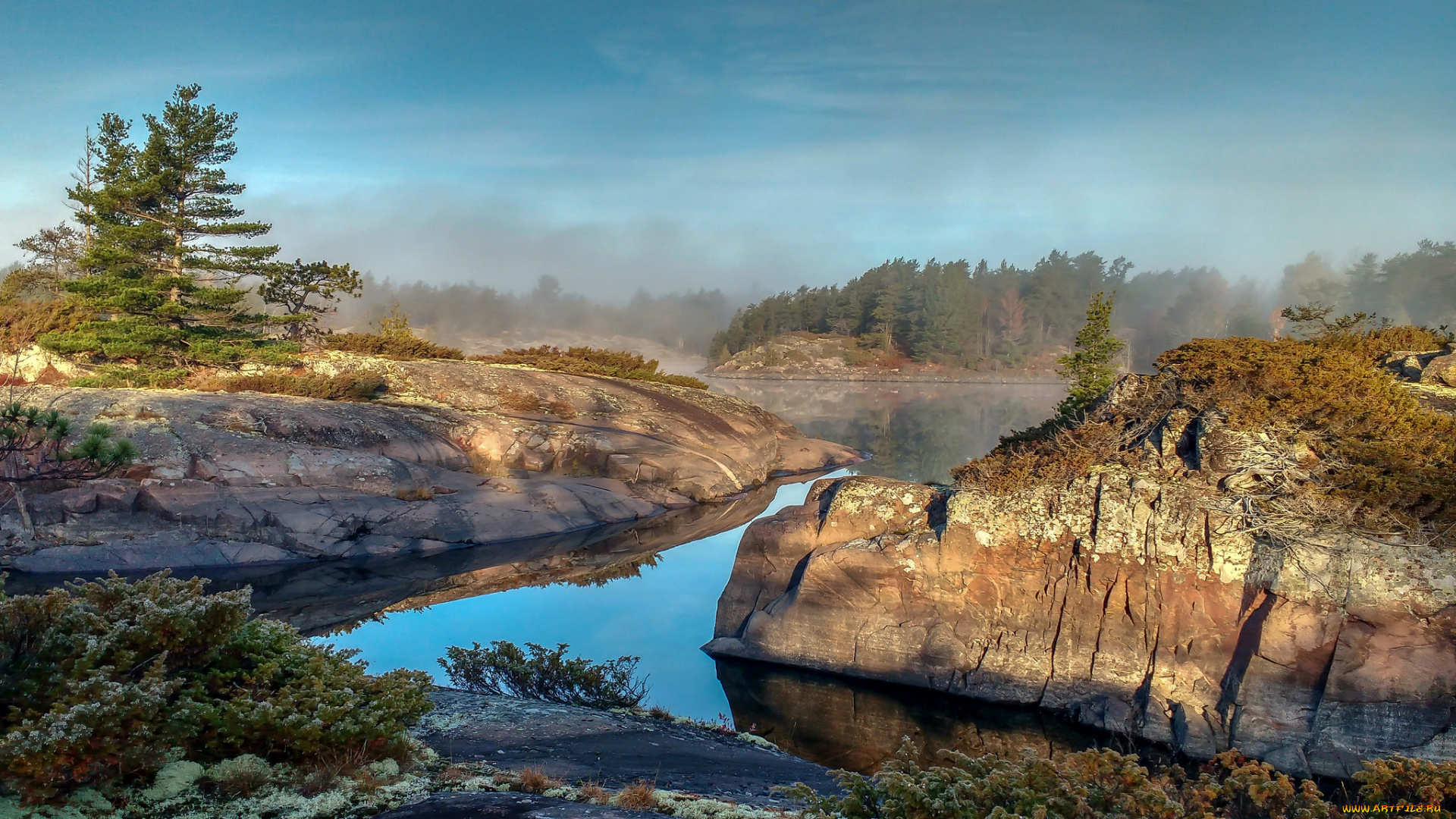 природа, реки, озера, река, лес