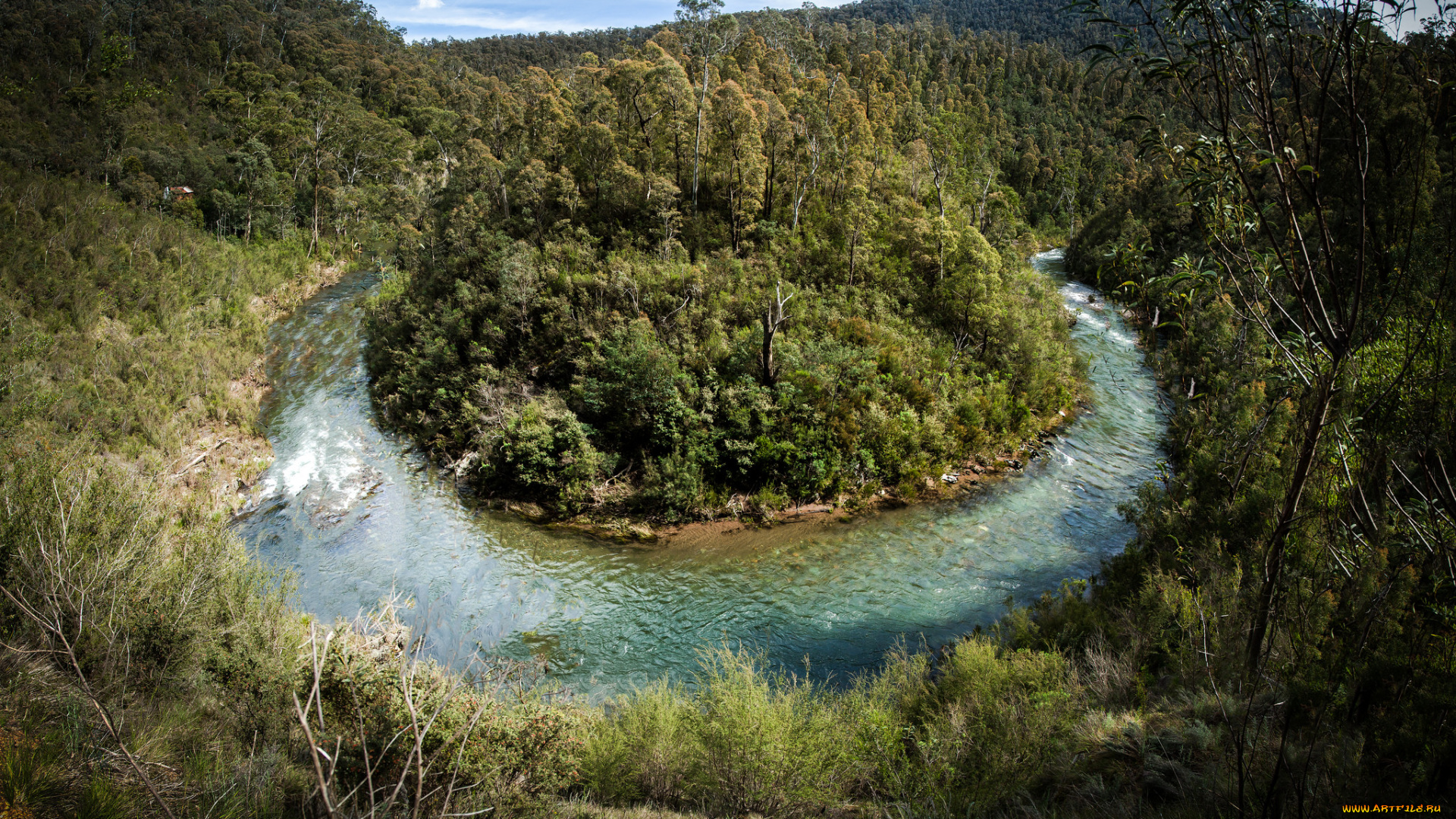 природа, реки, озера, река, лес