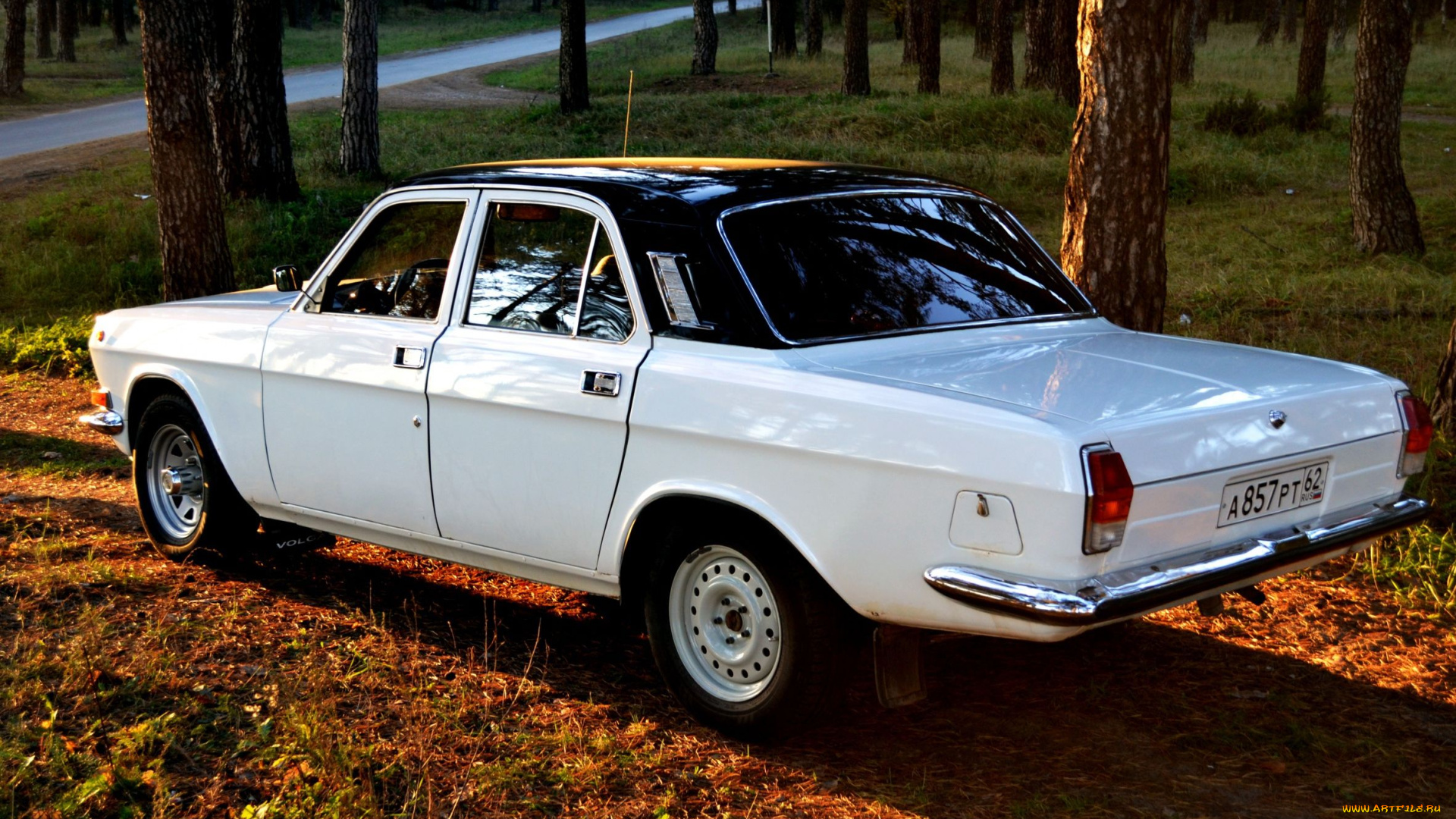 волга, автомобили, газ, 24-10