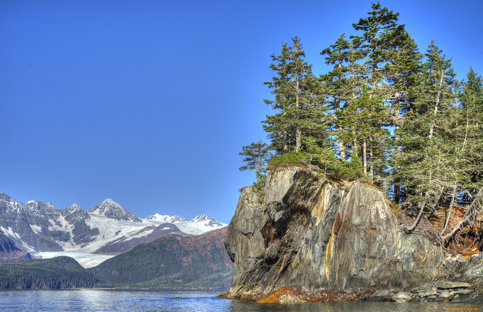 природа, реки, озера, река, лес