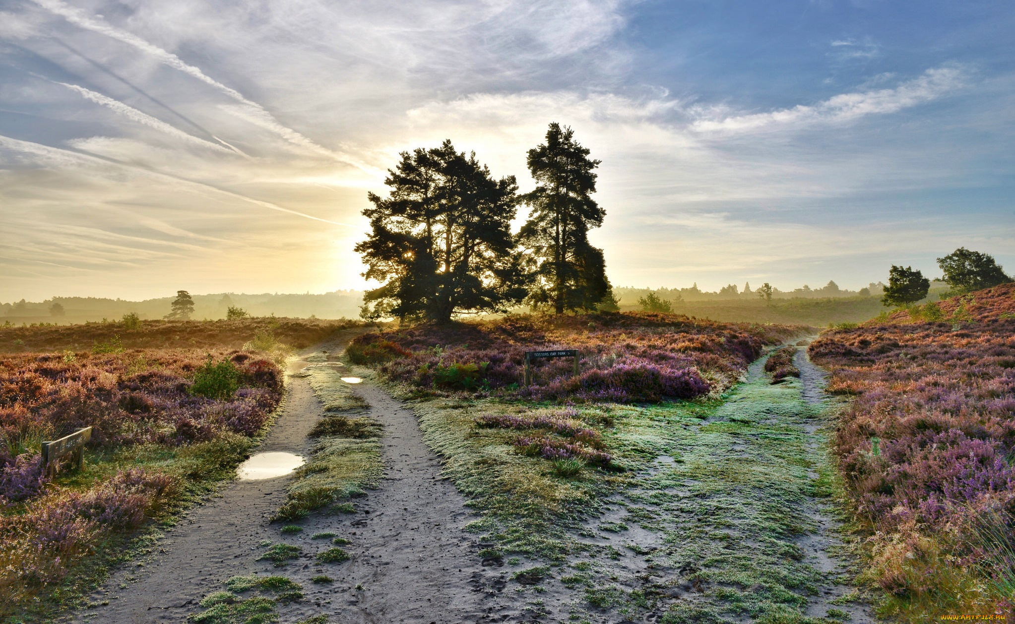 природа, дороги, тракт