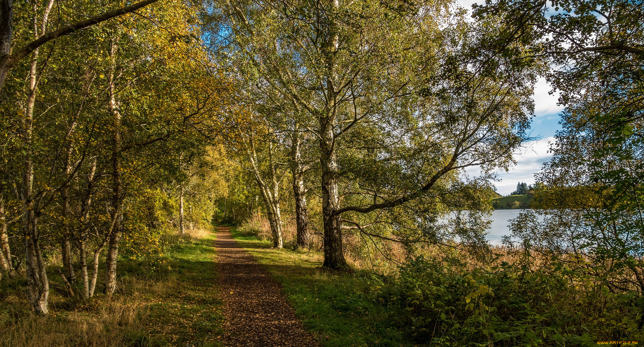 природа, дороги, тракт