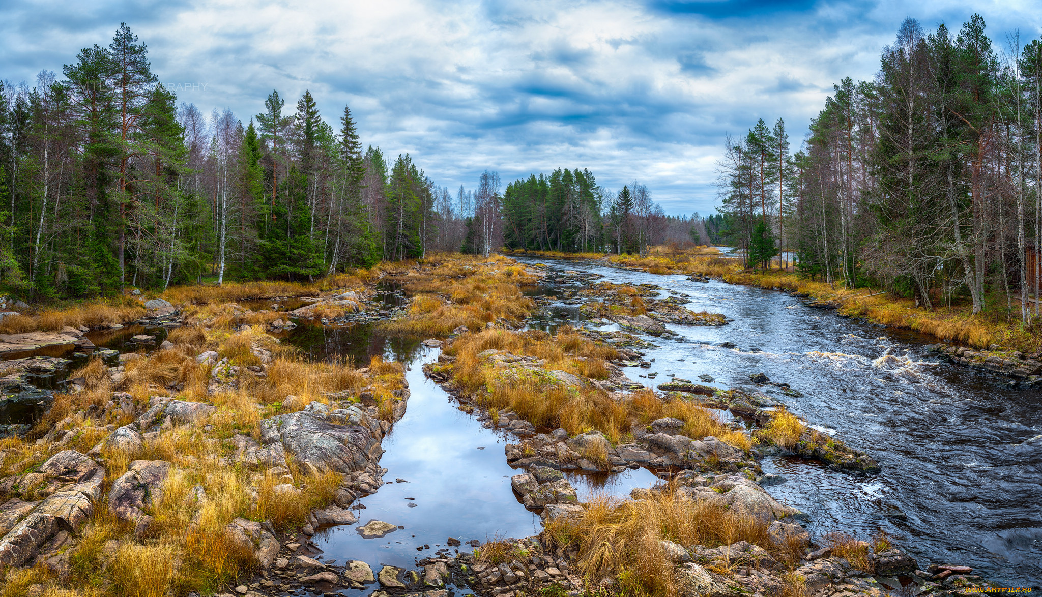 природа, реки, озера, река, лес