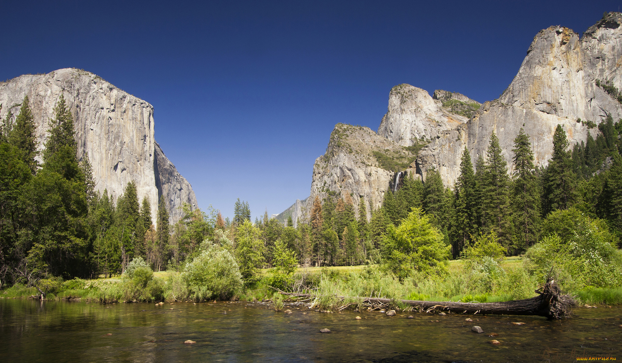 природа, реки, озера, лес, река