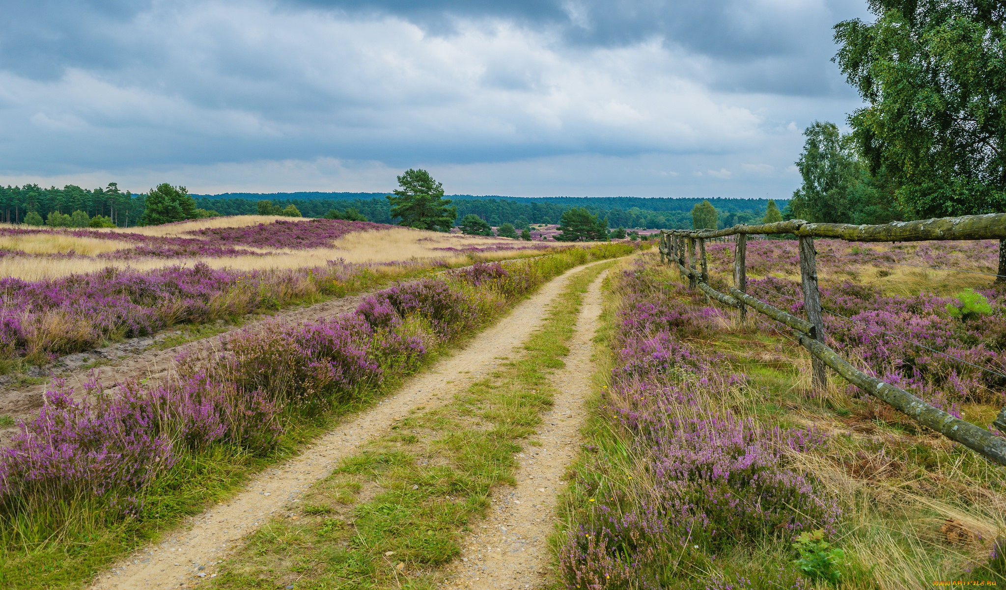 природа, дороги, тракт